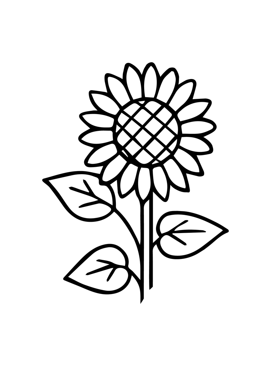 简单易学的向日葵绘画教程：步骤详解