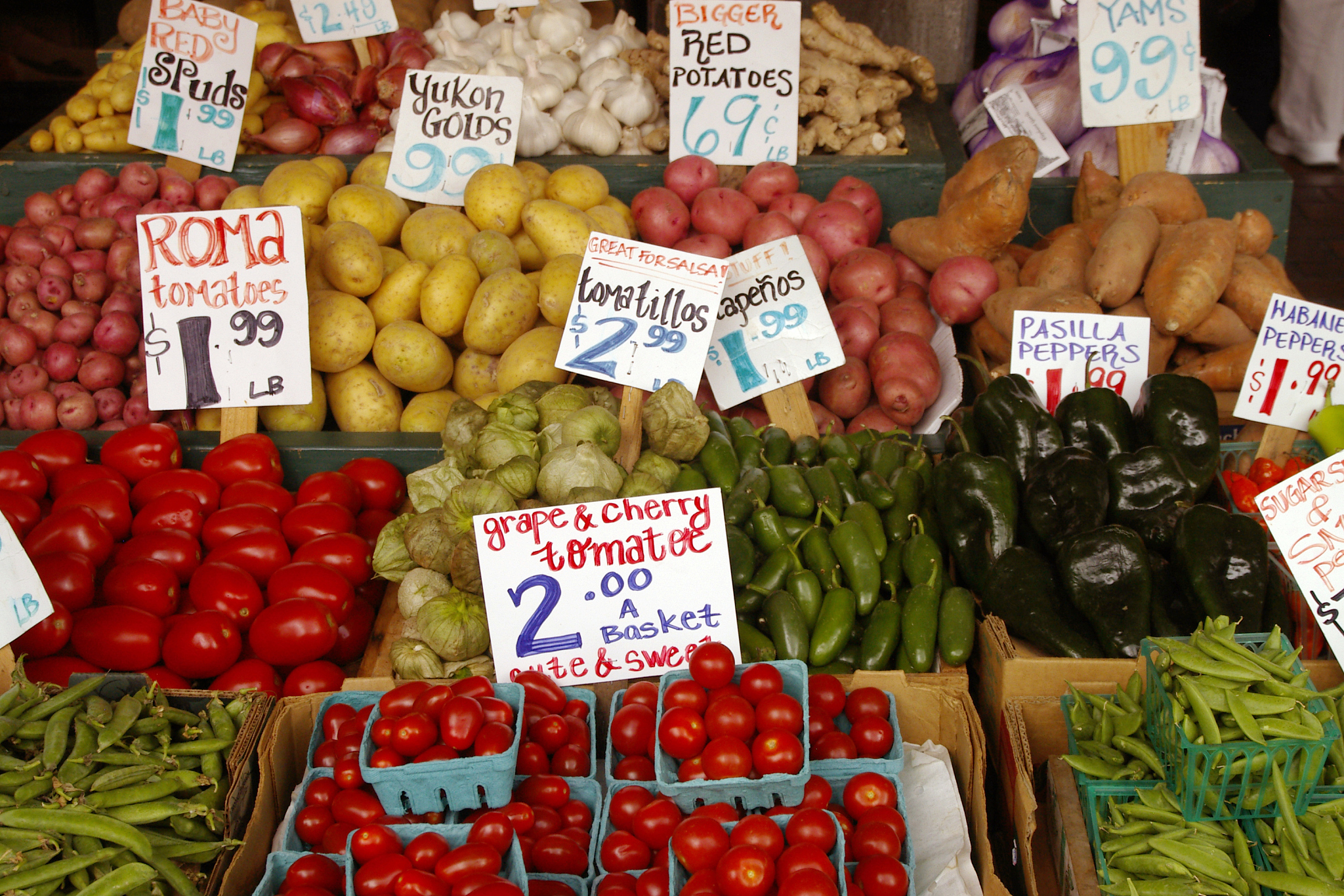 实验所采用的马铃薯样品均来自于长春某农贸市场在市场流通的马铃薯均是经过国家质检合格的所以我们需要对马铃薯进行制样。首先将买来的马铃薯使用去离子水清洗干净以消除尘土等污染物对实验的影响；然后对马铃薯进行切块处理要求所有样品质量相同大小均匀一致每次制备的马铃薯样品都对其进行称重操作以满足质量相同的要求；最后对其进行污染处理将这些样品放入配置好的Cr溶液中浸泡。改为同义句