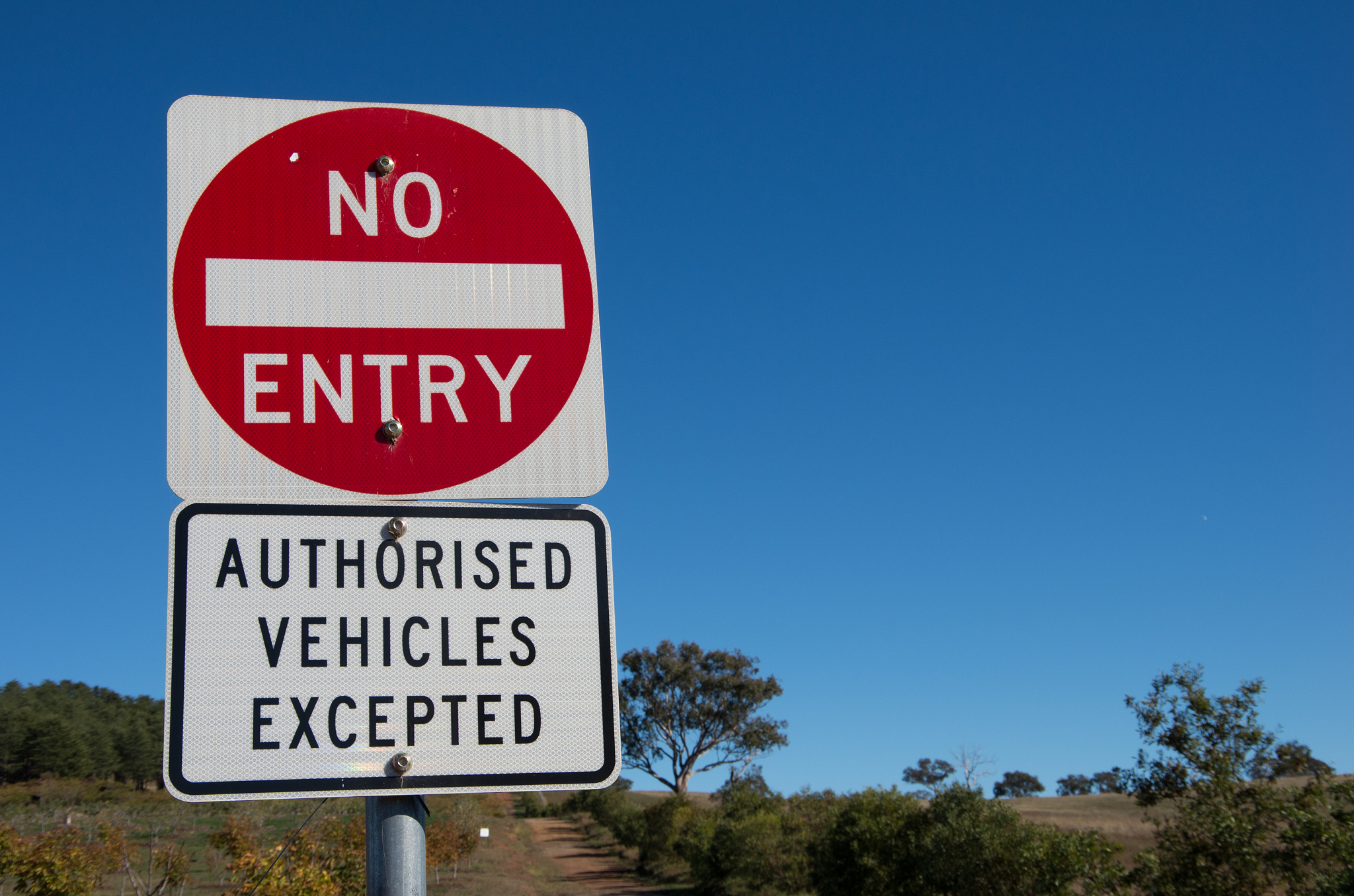 荆州商务英语学校商务英语有前途吗？需满足哪些招生条件