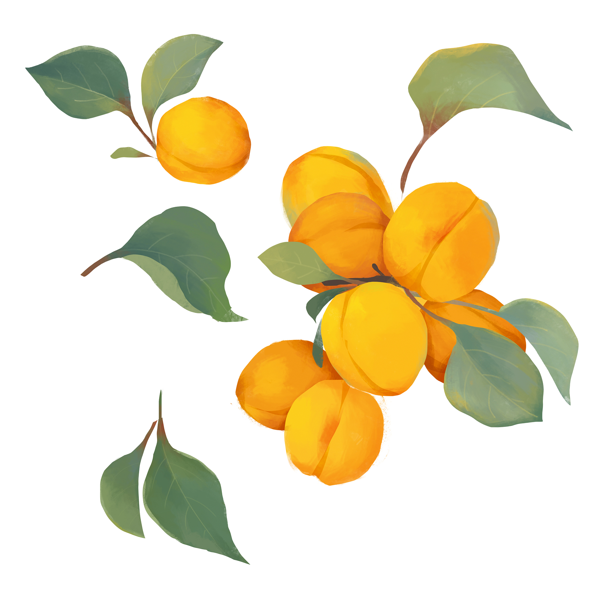 促排吃黄桃？了解黄桃对促排的影响及健康搭配！