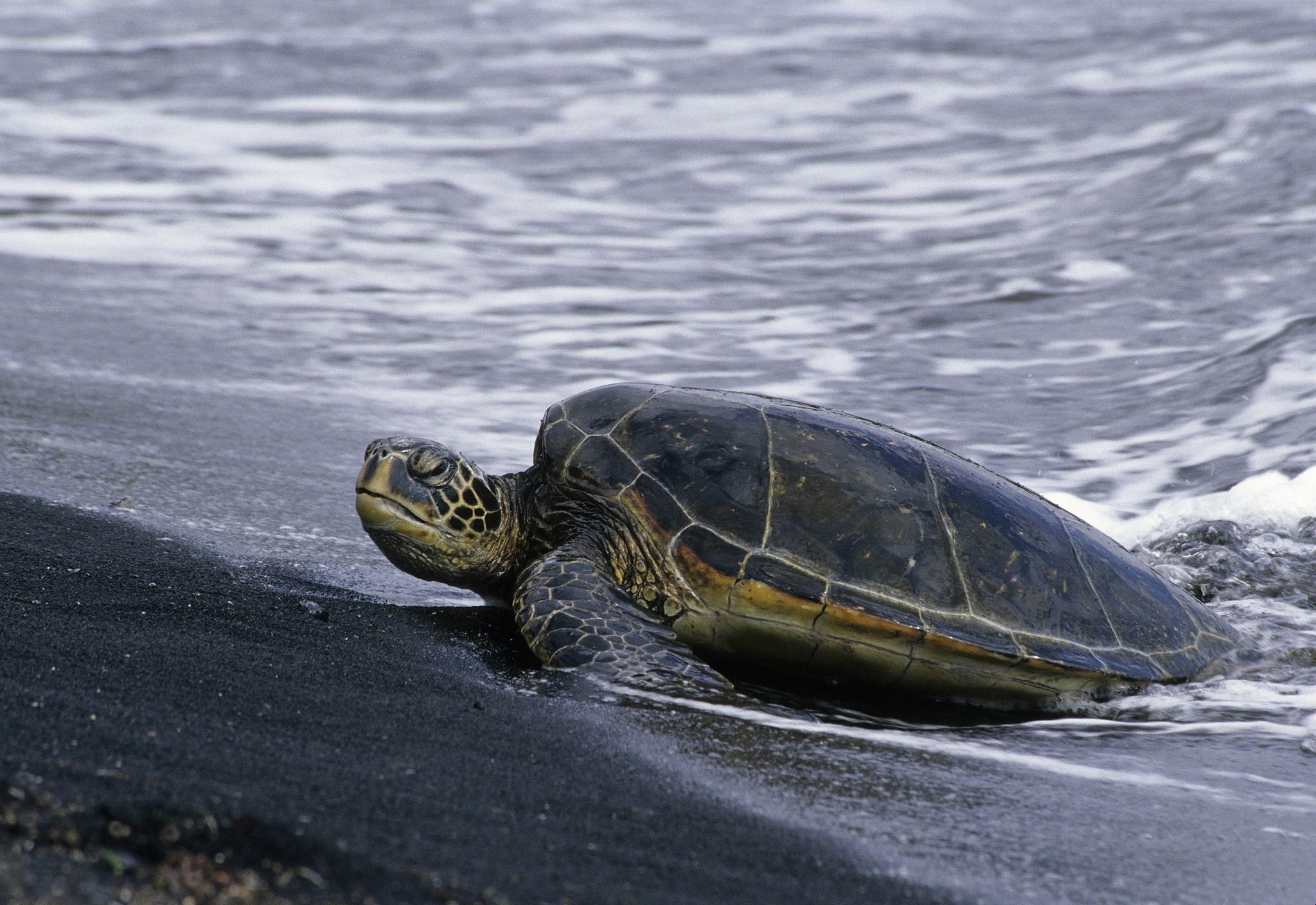 广东海洋大学船舶与海洋工程专业怎么样