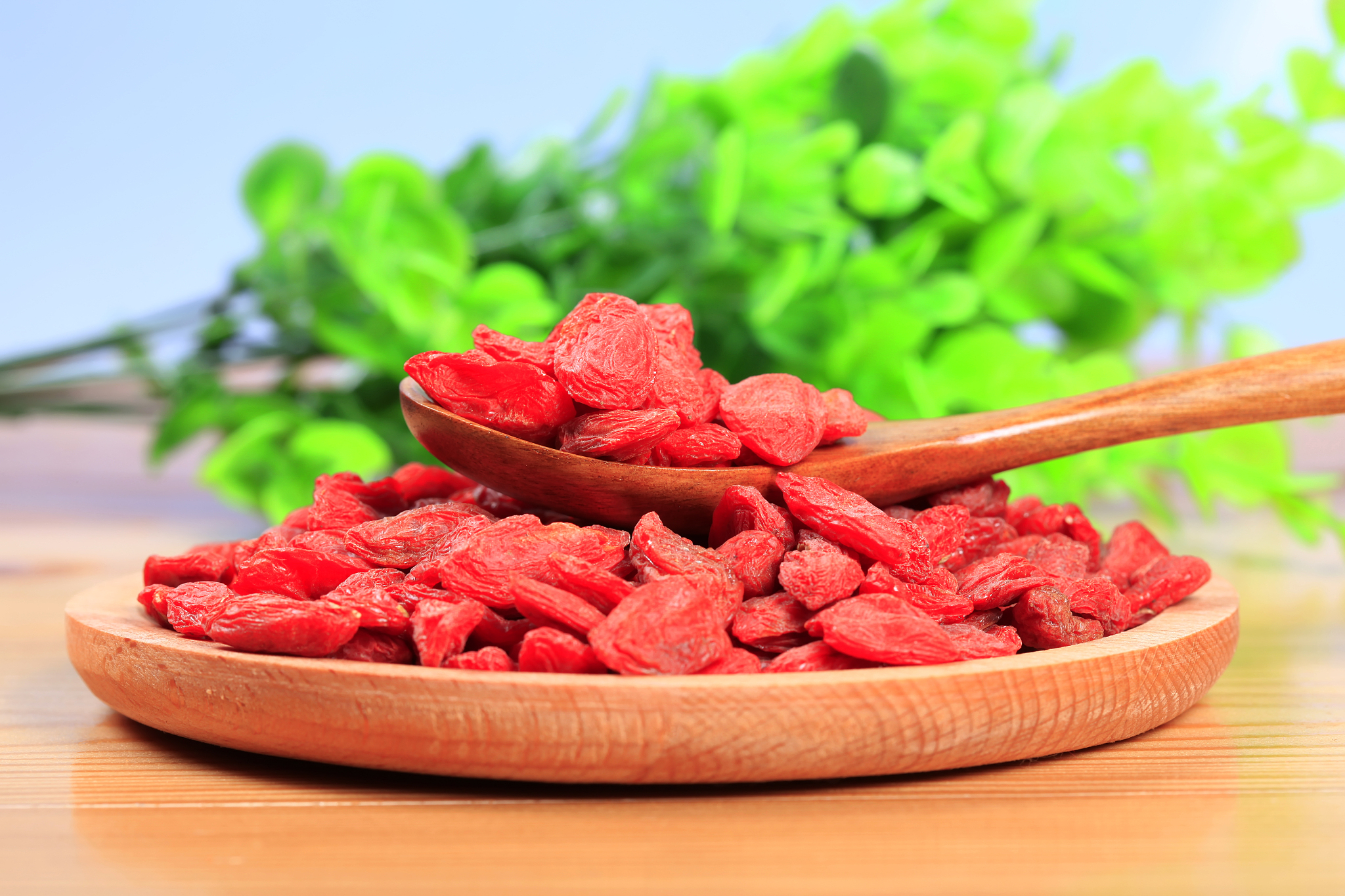 山西师范大学食品科学与工程专业怎么样