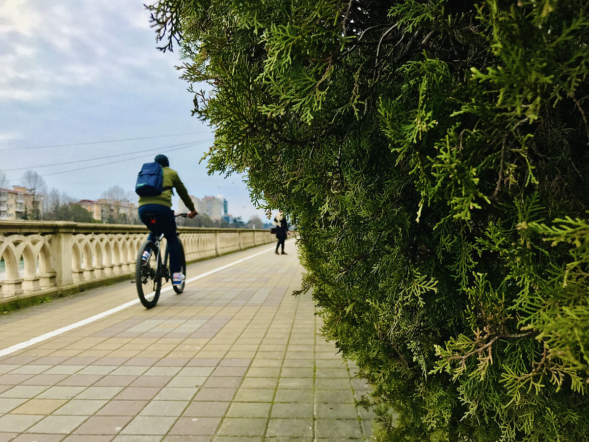 描述一下自己平时生活锻炼