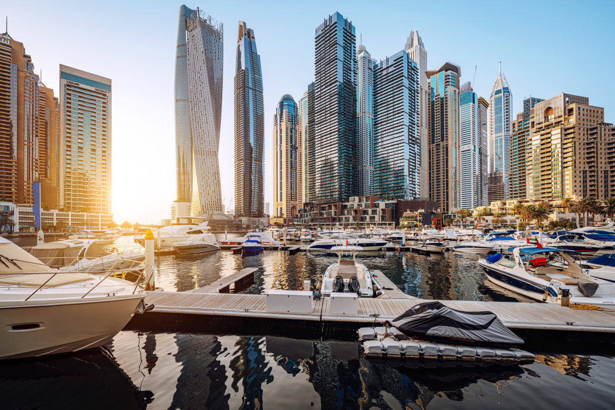 海滨城市：追逐梦想，自由飞翔！