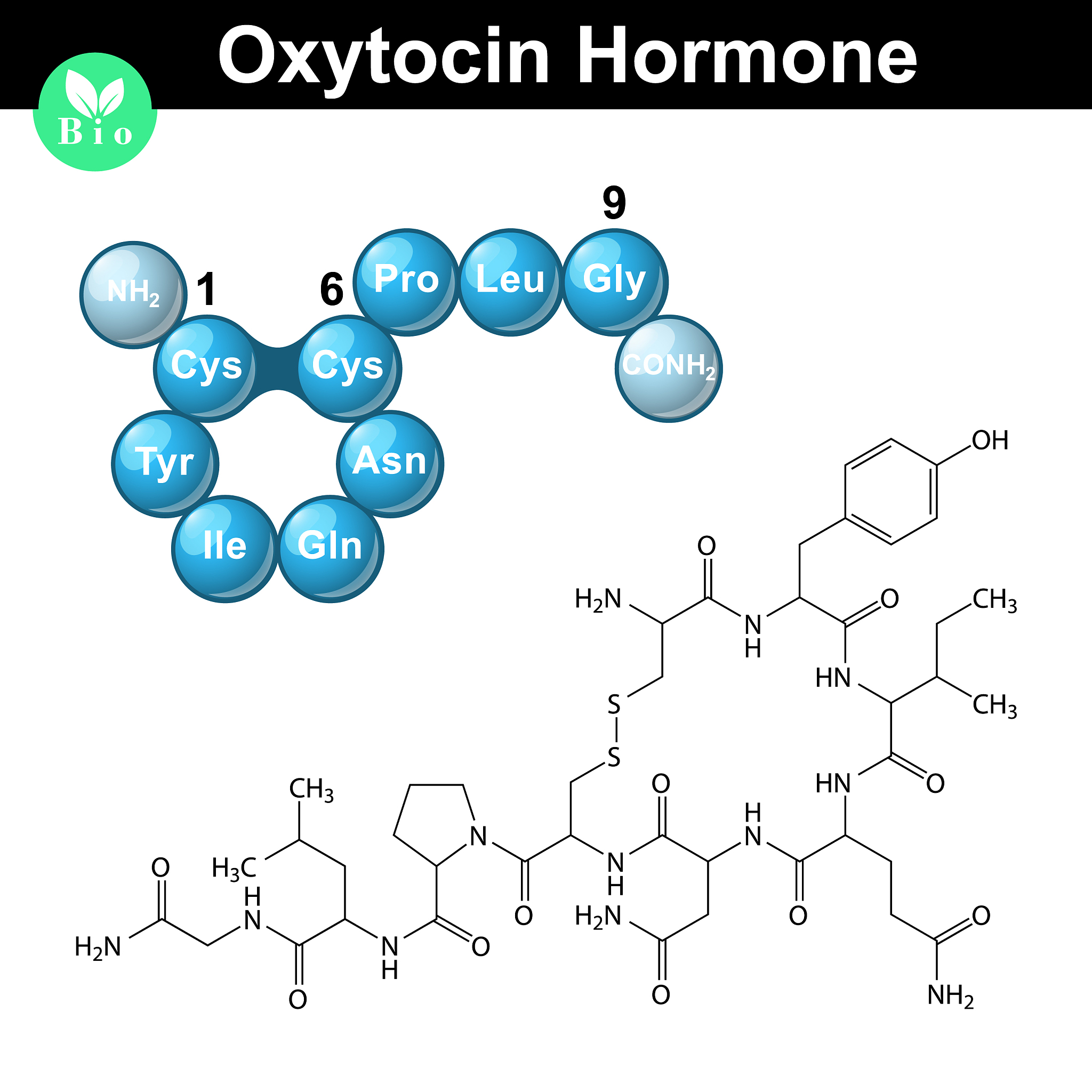高通量筛选 Glucoraphanin 浓度检测方法 - 避免 Sulforaphane 和葡萄糖干扰