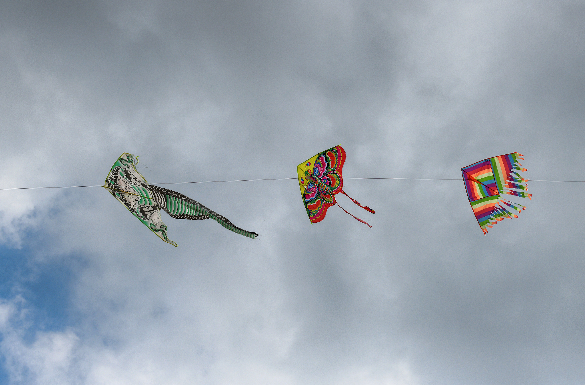 kites flying in the sky