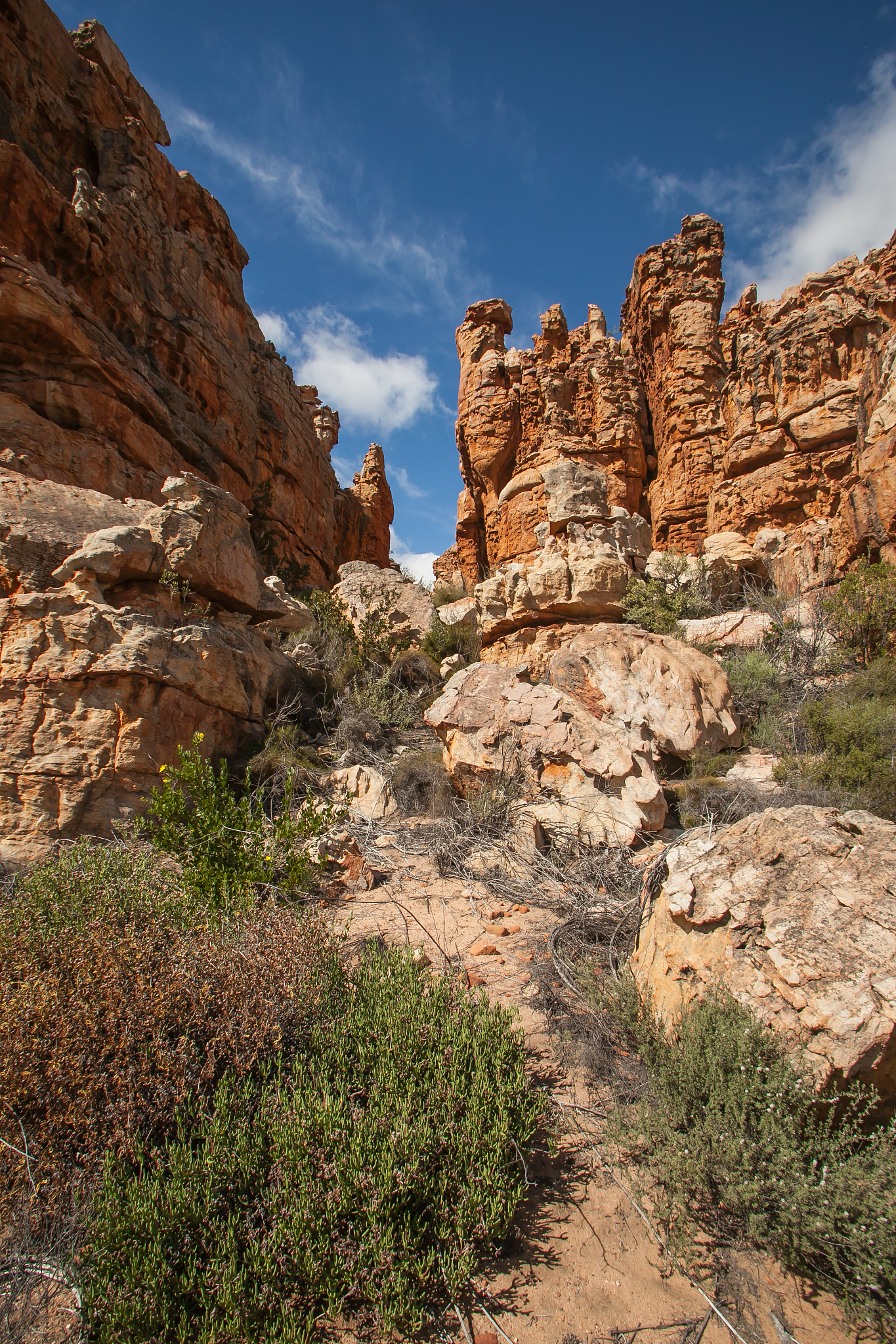 cederberg mountain wilderness area scene 12826