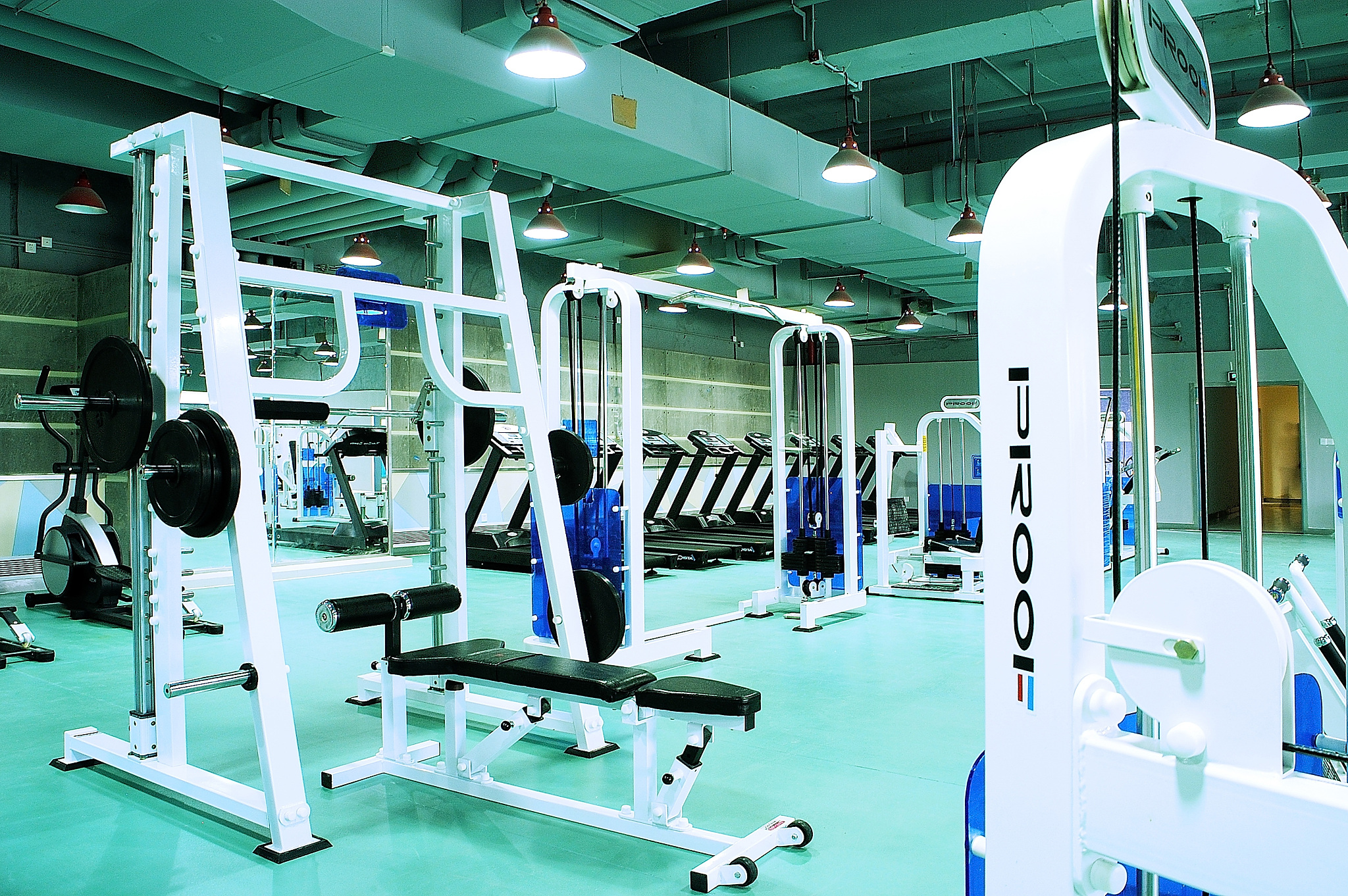 本文对科力健身网站的设计开发进行了详细的论述