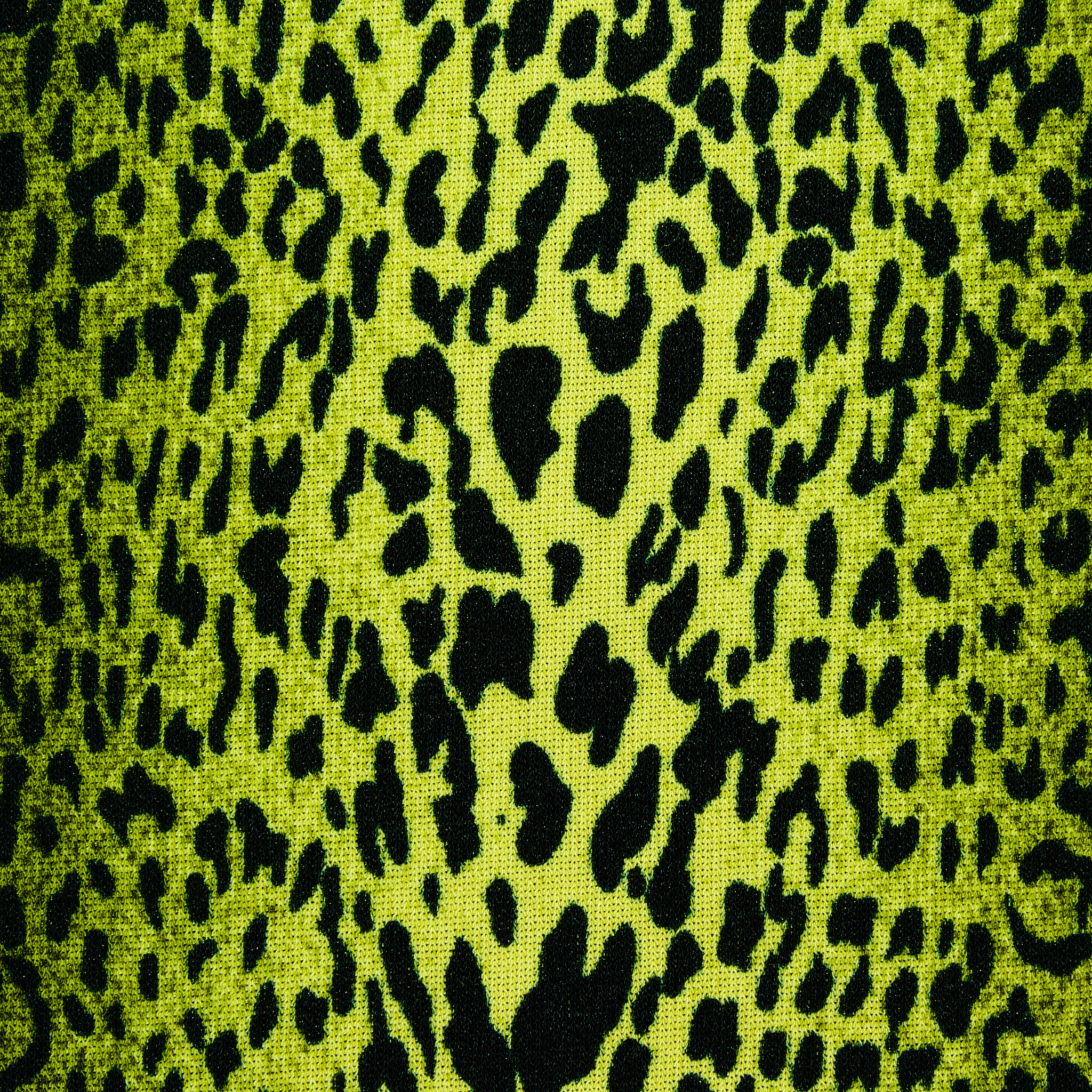 豹猫形象设计：自然元素的巧妙运用