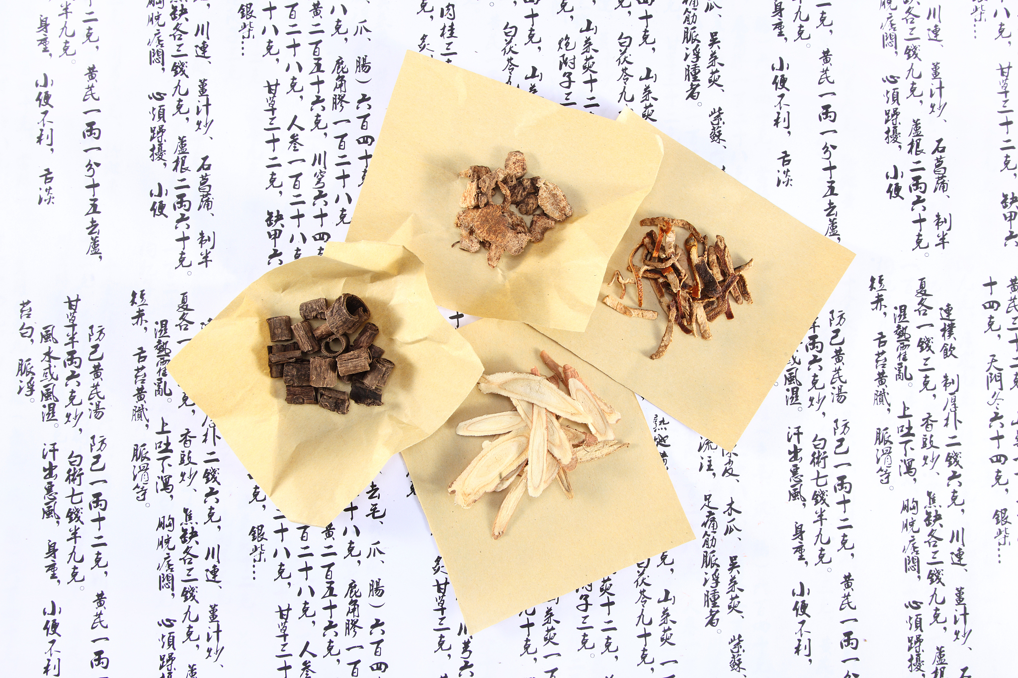 你现在是名资深老中医。请你看以下下面这个药方是治什么病的：炒白术 15g茯苓10g丹参？15g木香6g炒红？后下10g黑附地先煎？12g桂枝15g熟地24g炒山药15g炒扁豆15g泽泻10g丹皮10g山芋肉15g巴吉10g羊霍10g炒杜仲20g川断30g寄生20g