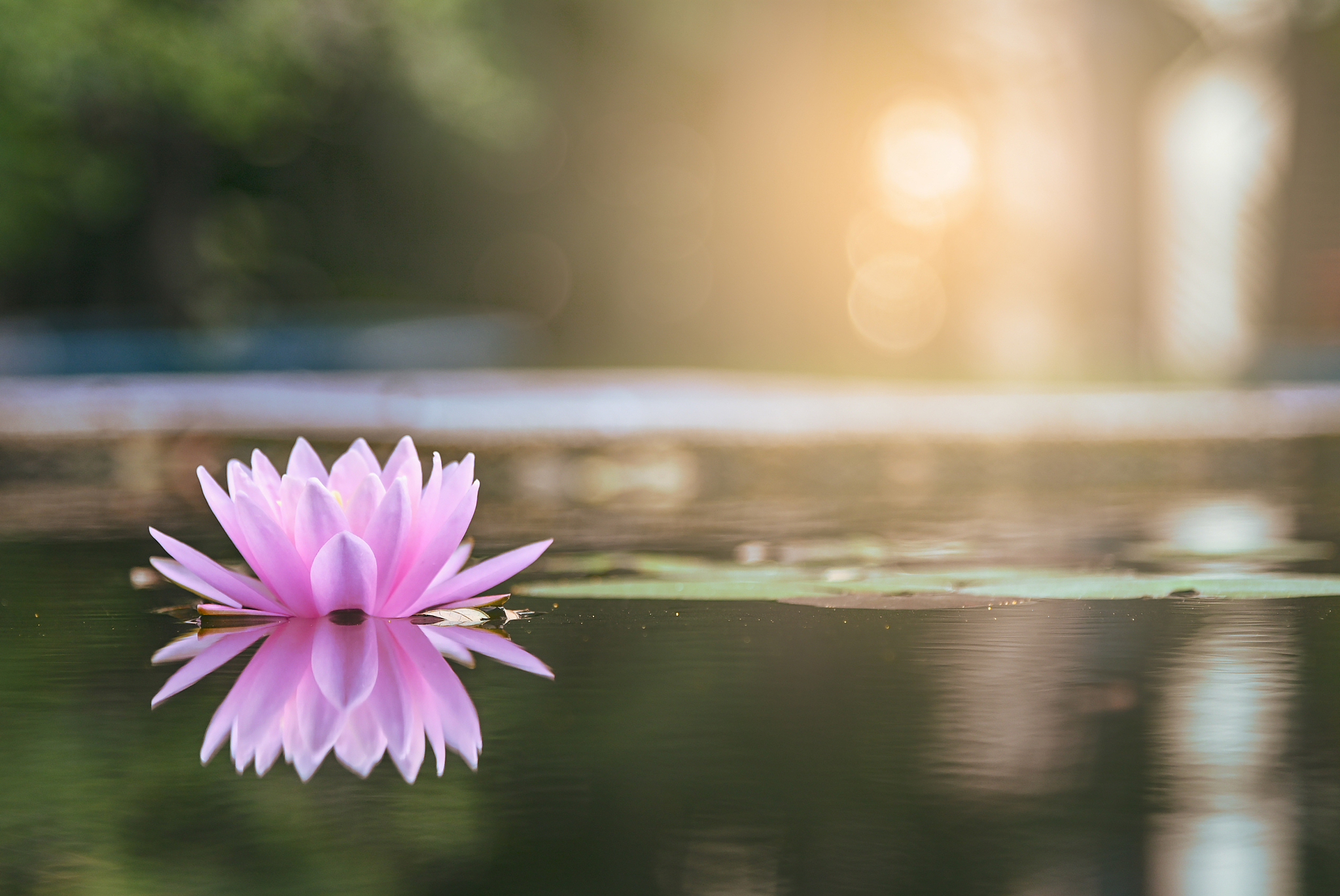 我问菩萨为什么会相遇菩萨说命有此劫命中注定是什么意思