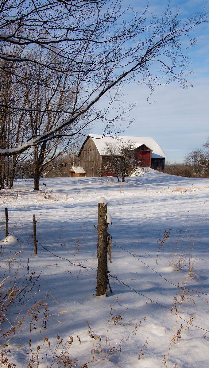 请描述一段关于乡下冬天下雪的场景的文字突出乡下冬天温馨的生活。500字左右