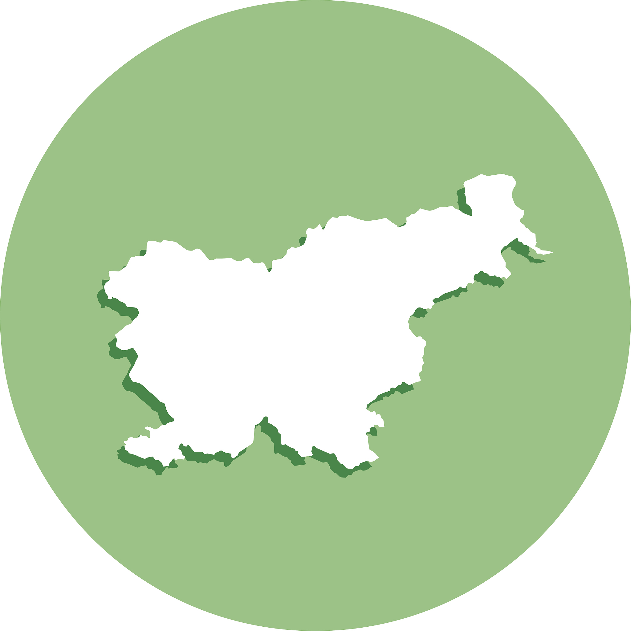 slovenia round map icon