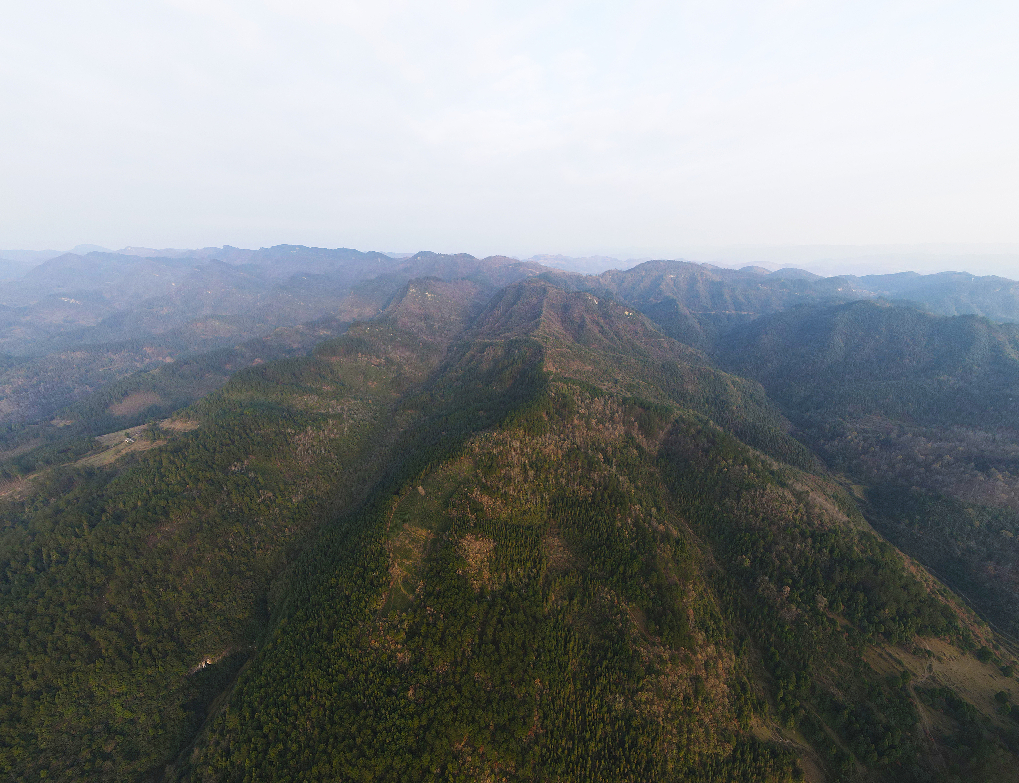 遵义博导网络职业技术学校官网 - 培养高素质网络技术人才