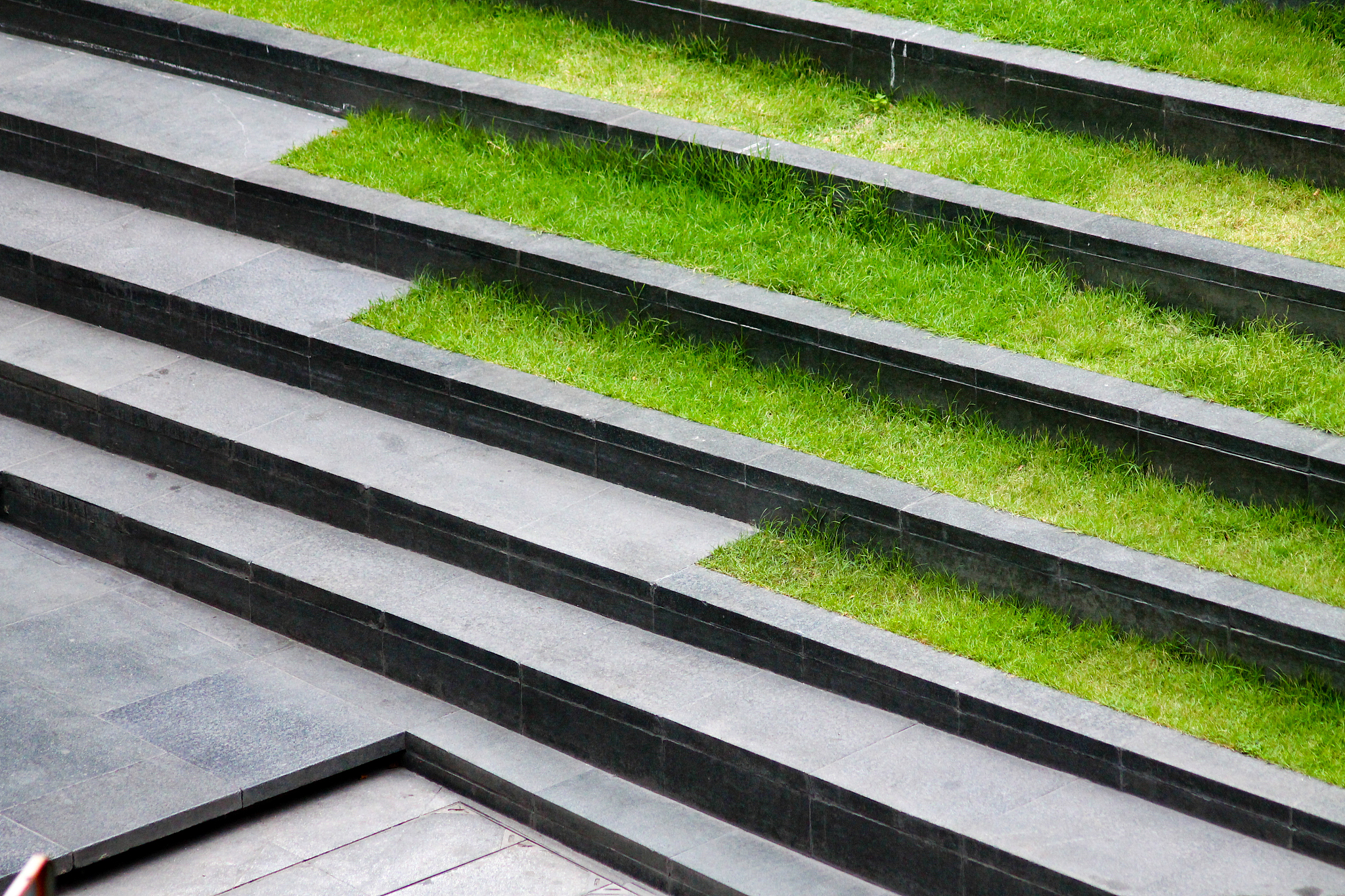 piece of nature in a world of concrete