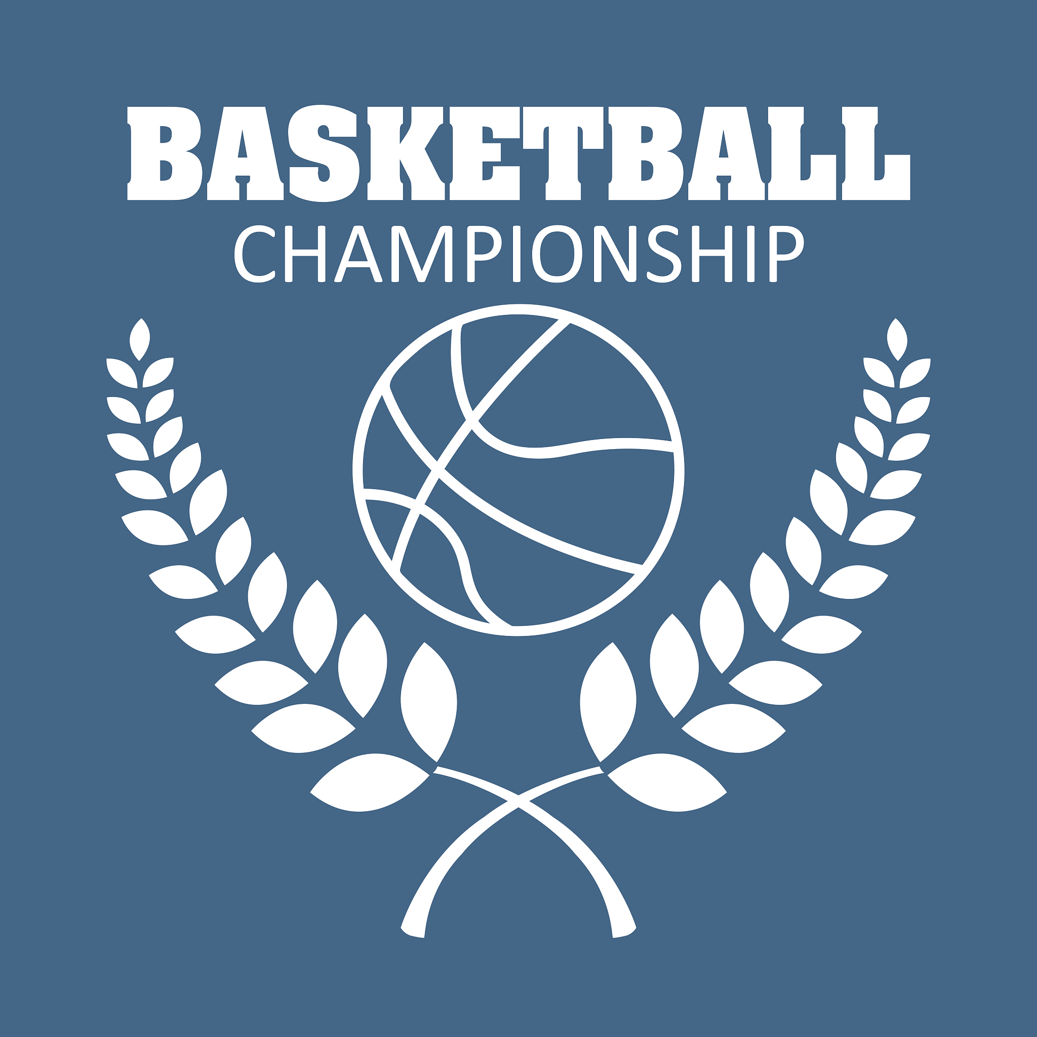 NBA 全称及简介 - 篮球运动的顶级盛事