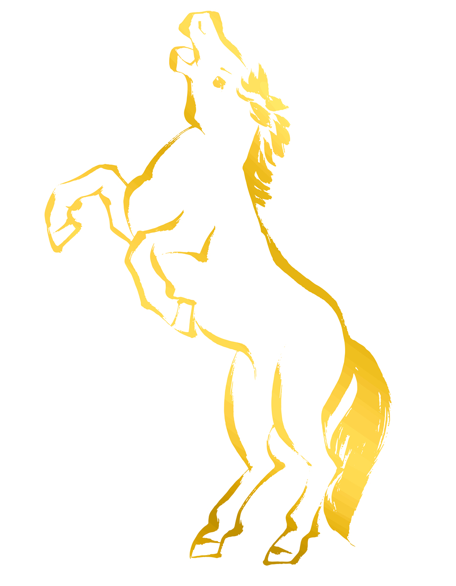 生肖马性格解析：充满活力，追求自由