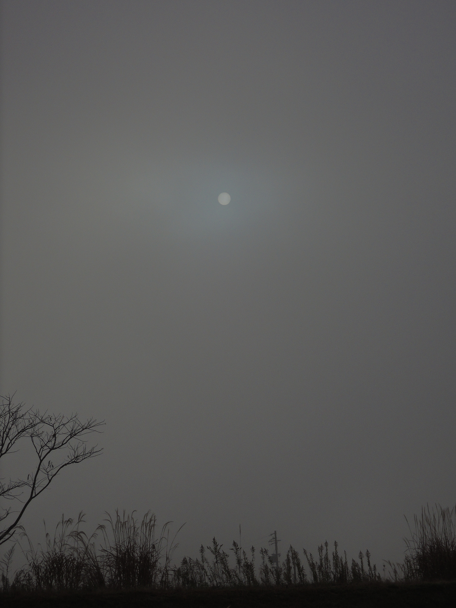 请设计一个探究气候对人类农业生产影响的小学五年级课外实践课题课题小组组长：陈彦桥组员：韩双冰、余佳锌、吴成峻请写出比较详细的探究活动过程和课题报告需要列出具体的详细的数据