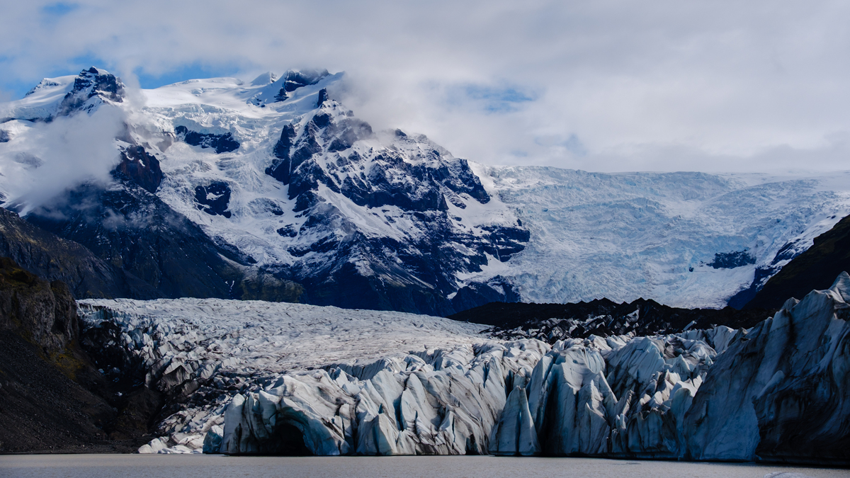 阿尔卑斯山 棕熊