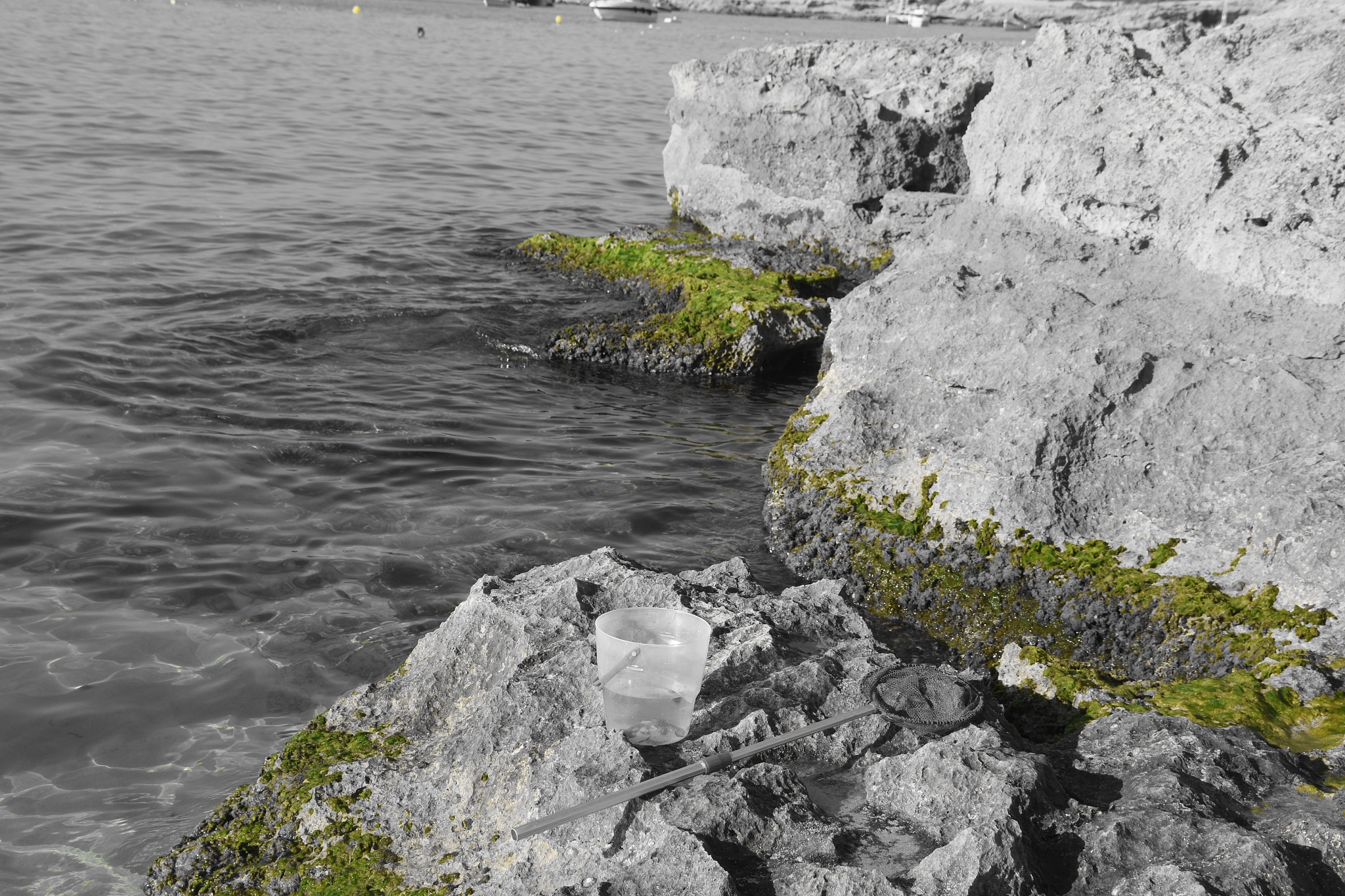 Defining Compound Drought-Saltwater Intrusion Events: A Threshold-Based Approach