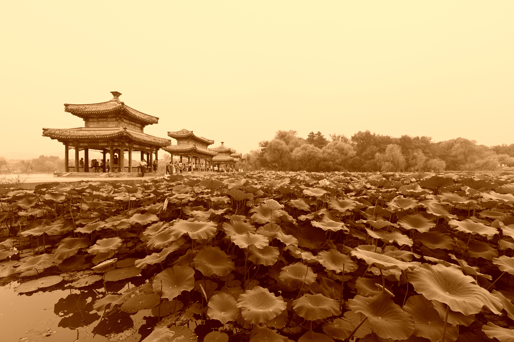 出一套风景园林工程的试卷