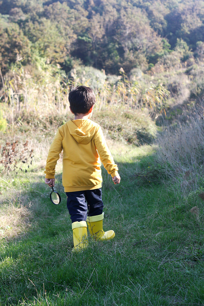 一年级作文：我勇敢地骑车去上学