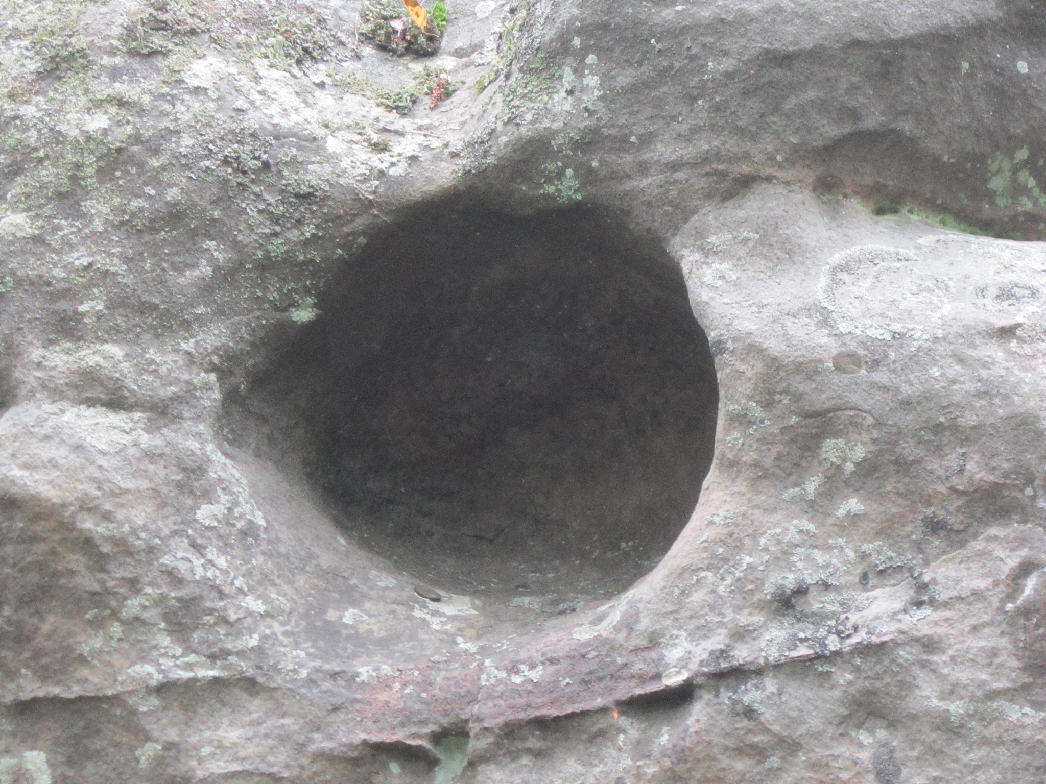 长兴灰岩金钉子