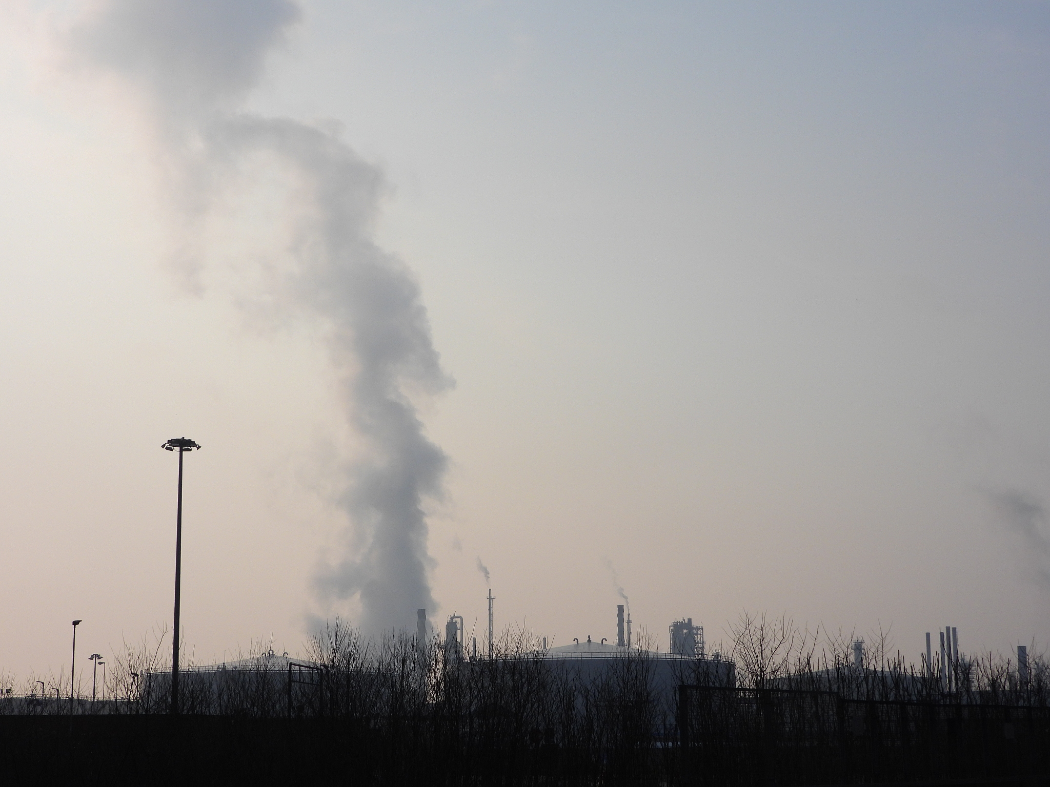 化石燃料污染的双重危害：冷却效应与健康风险