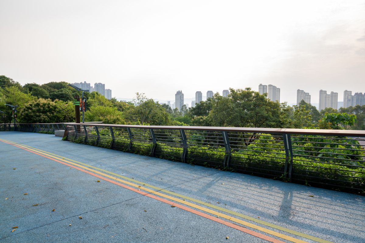 杨浦滨江寻访：感受滨江之美，享受休闲时光