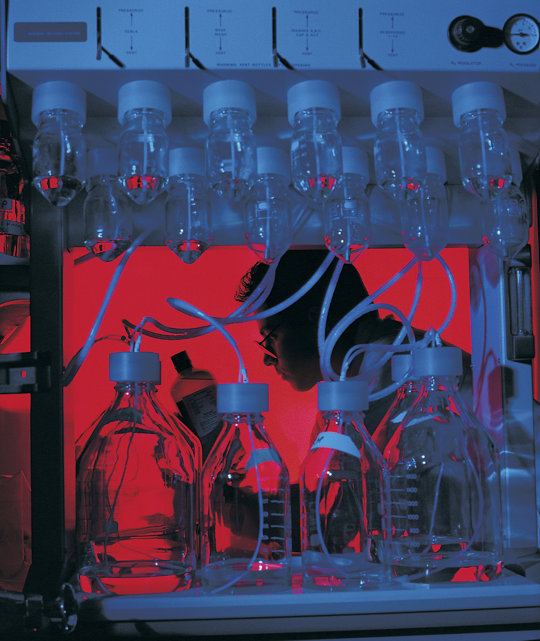 实验室老鼠咬伤事故：如何处理和预防