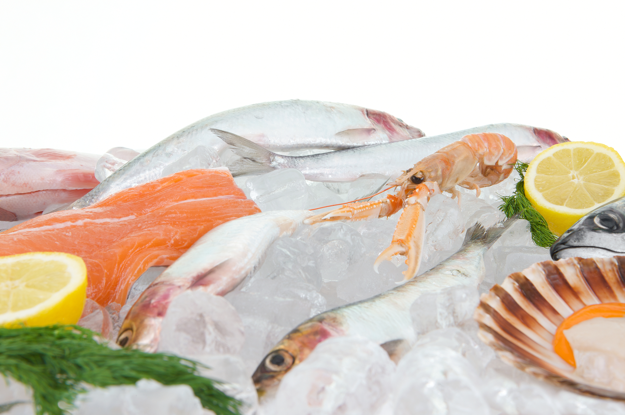 鱼肉健康吗？营养、污染和最佳选择