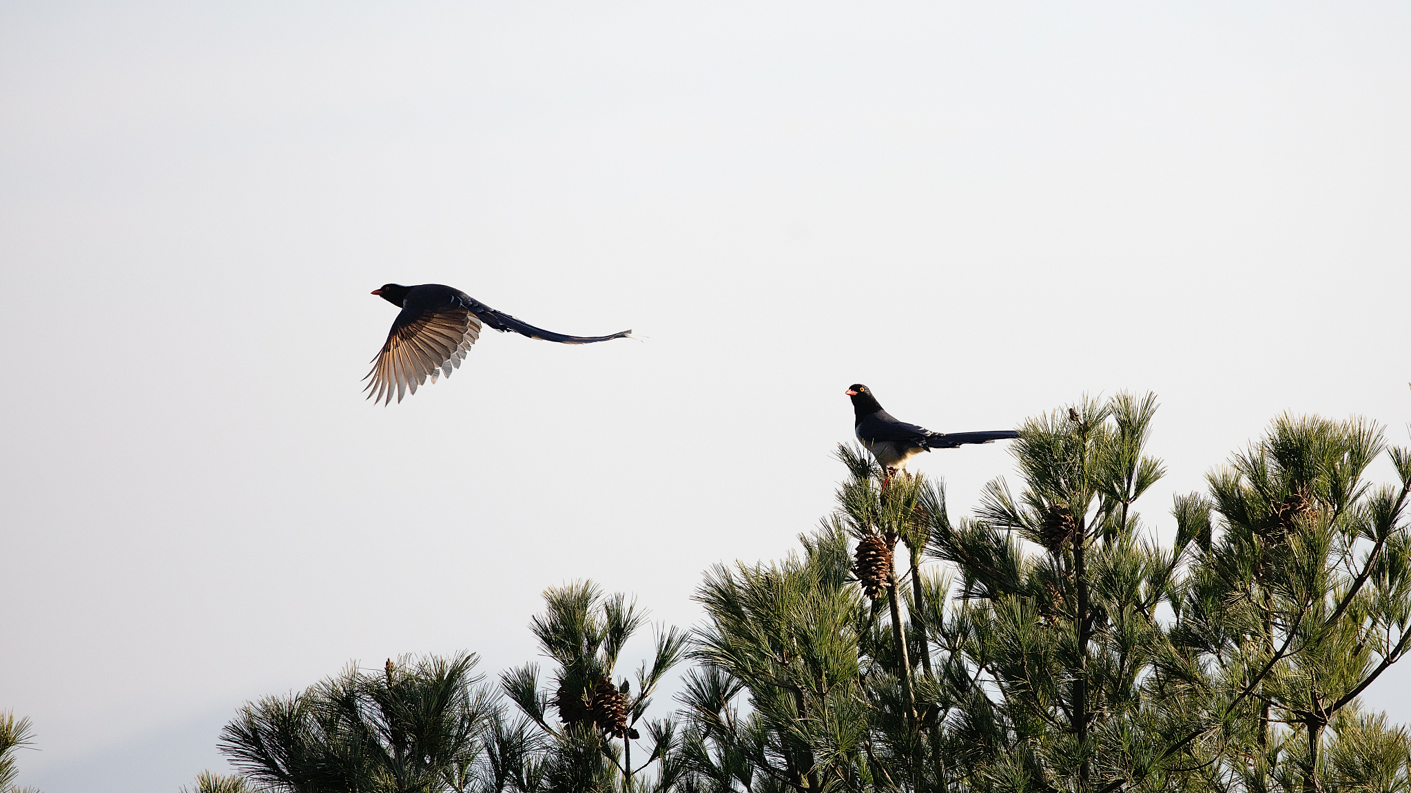 曲靖中专学校就业排名：哪所学校就业前景最好？