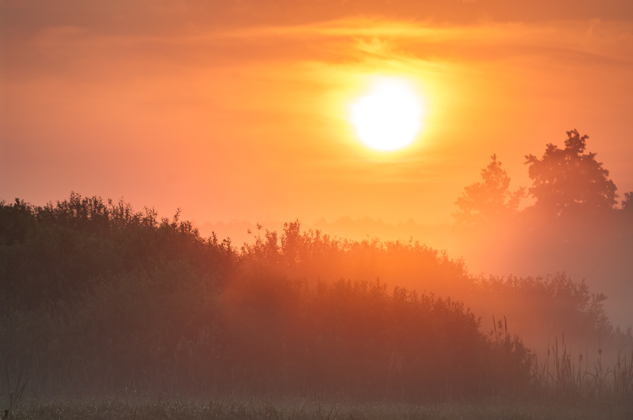 黎明逃杀游戏更新日志