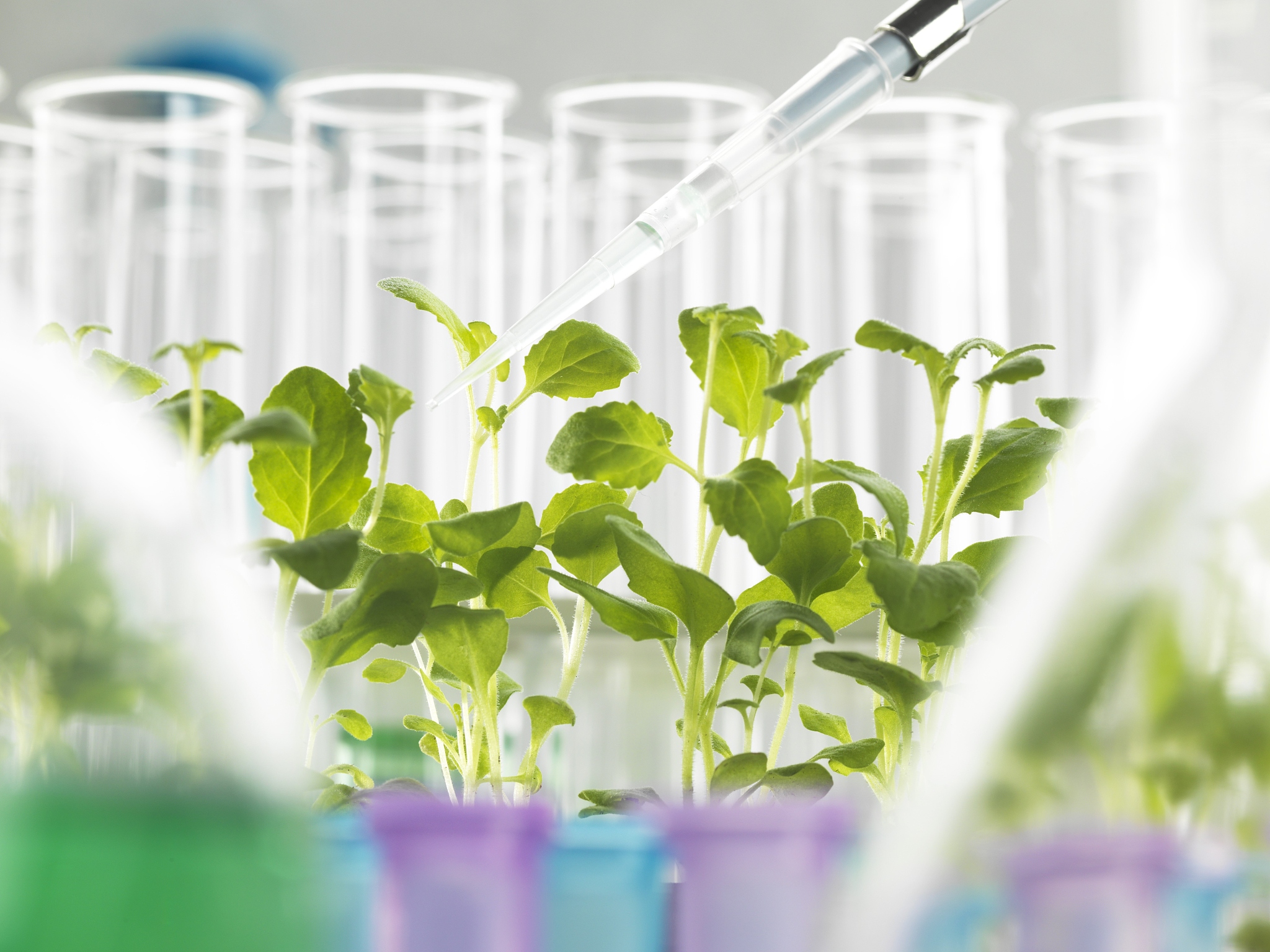 上海市农业学校植物科学技术系简介