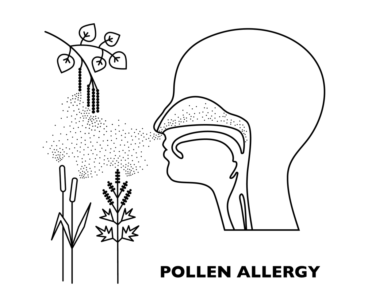 桂龙药膏多少钱一盒 桂龙药膏服用方法注意事项