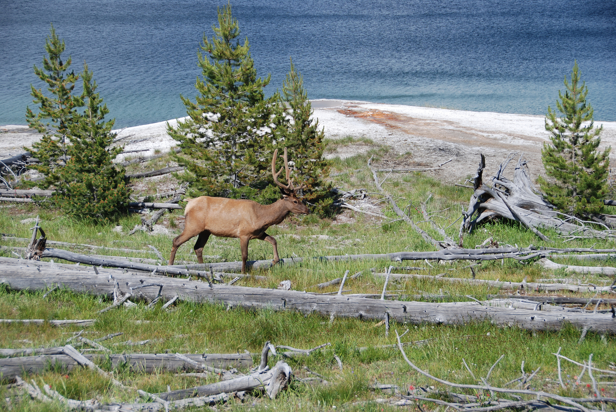 杰克逊有什么好玩的地方？