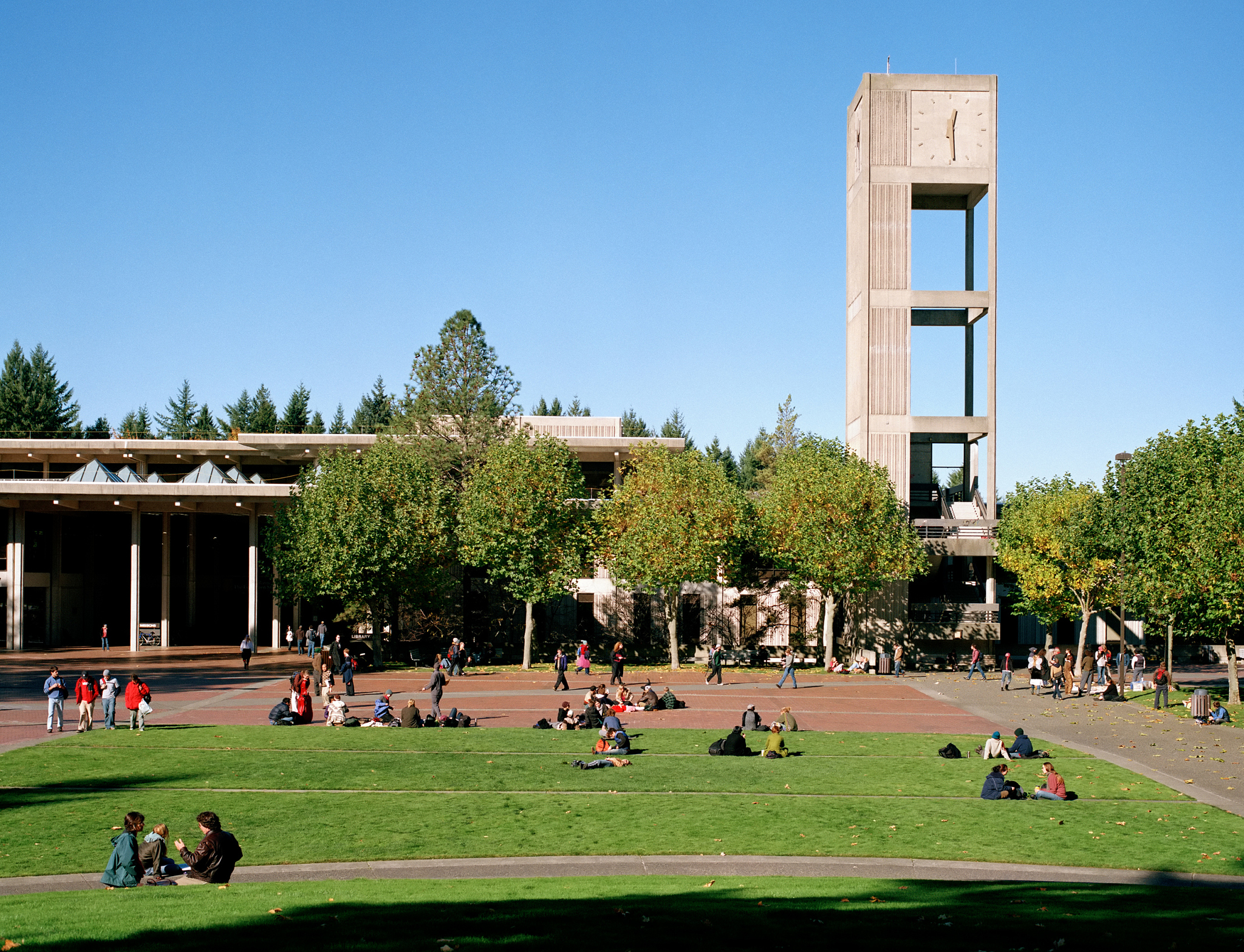 evergreen state college