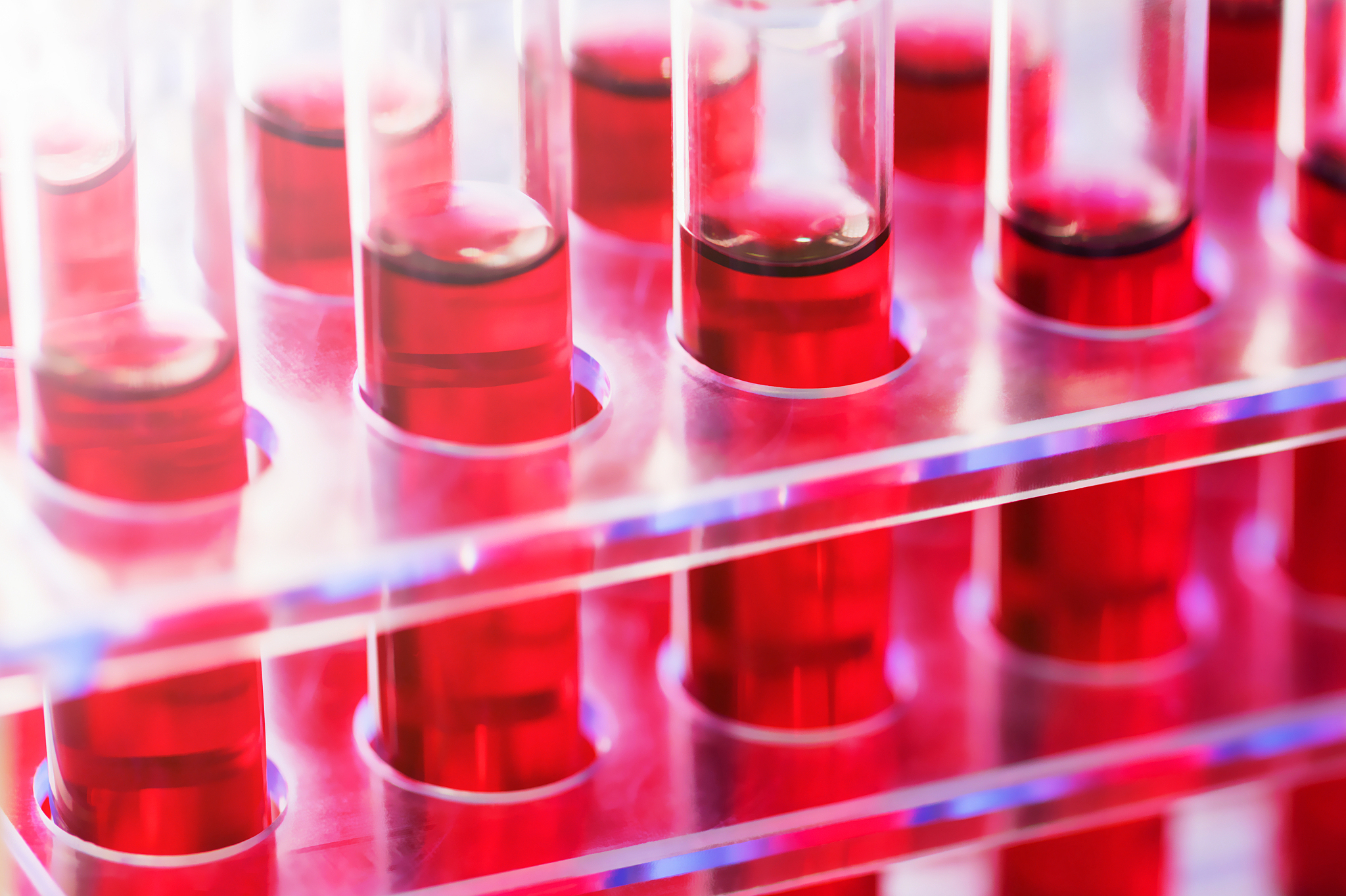 2022年贵阳英才学校医学检验专业招生