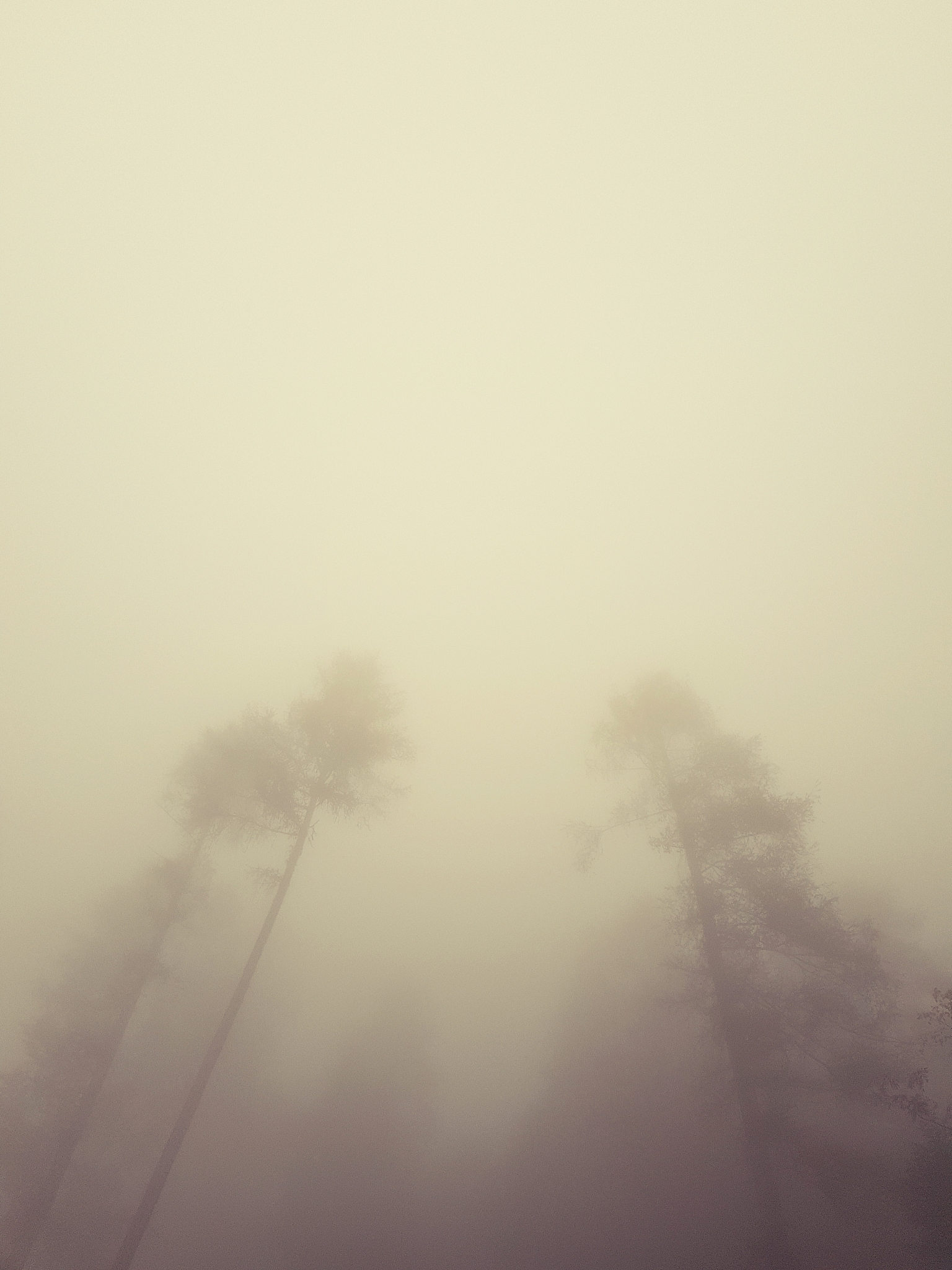 大气环流和水循环对全球气候变化的影响