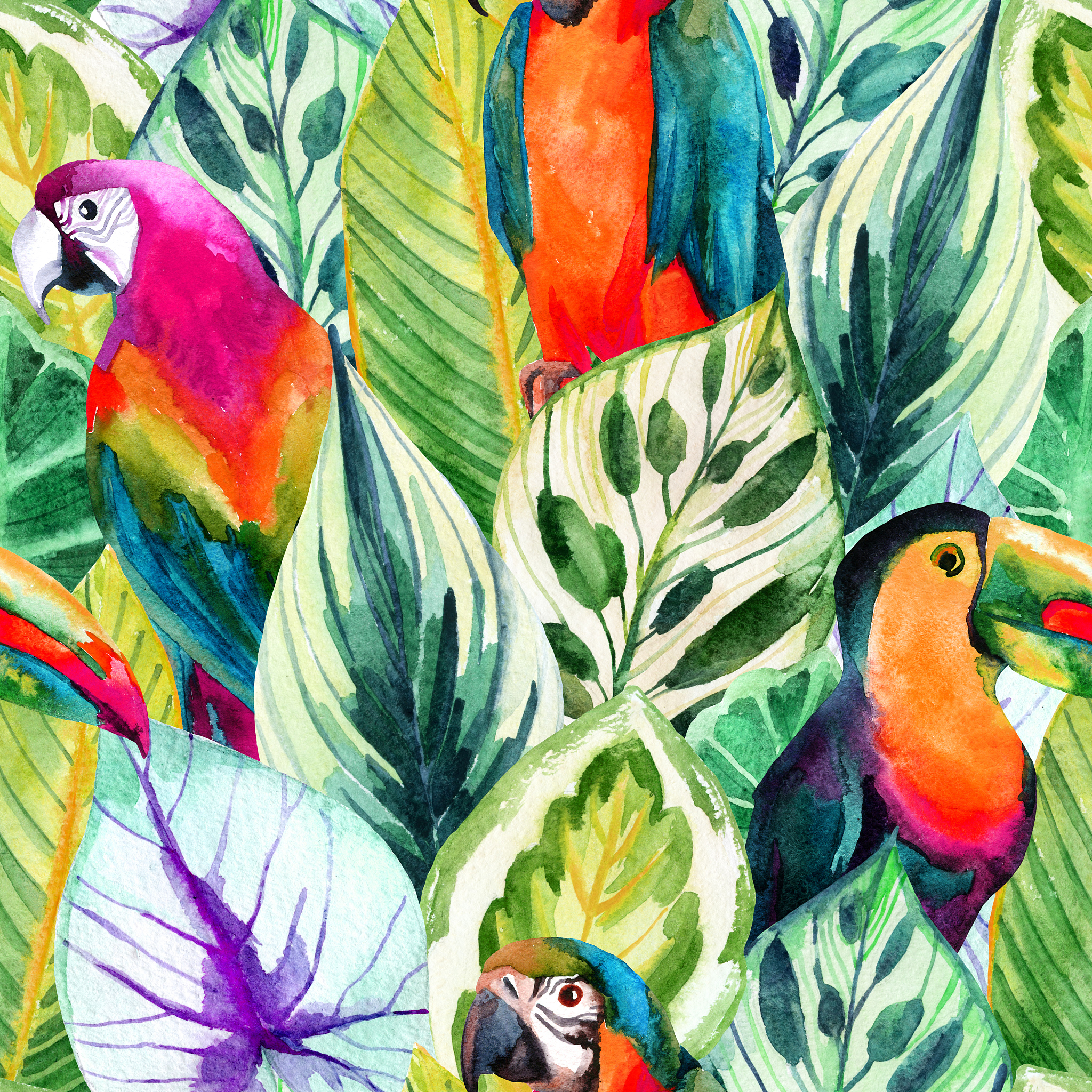 热带丛林的精灵：一幅栩栩如生的鹦鹉肖像画