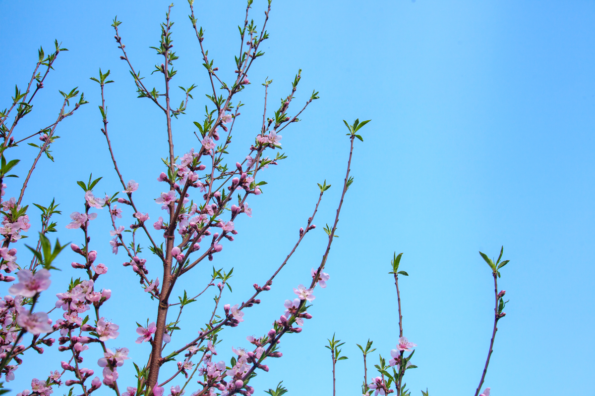 全国大部气温回升：不只是天气，更是生活态度的转变