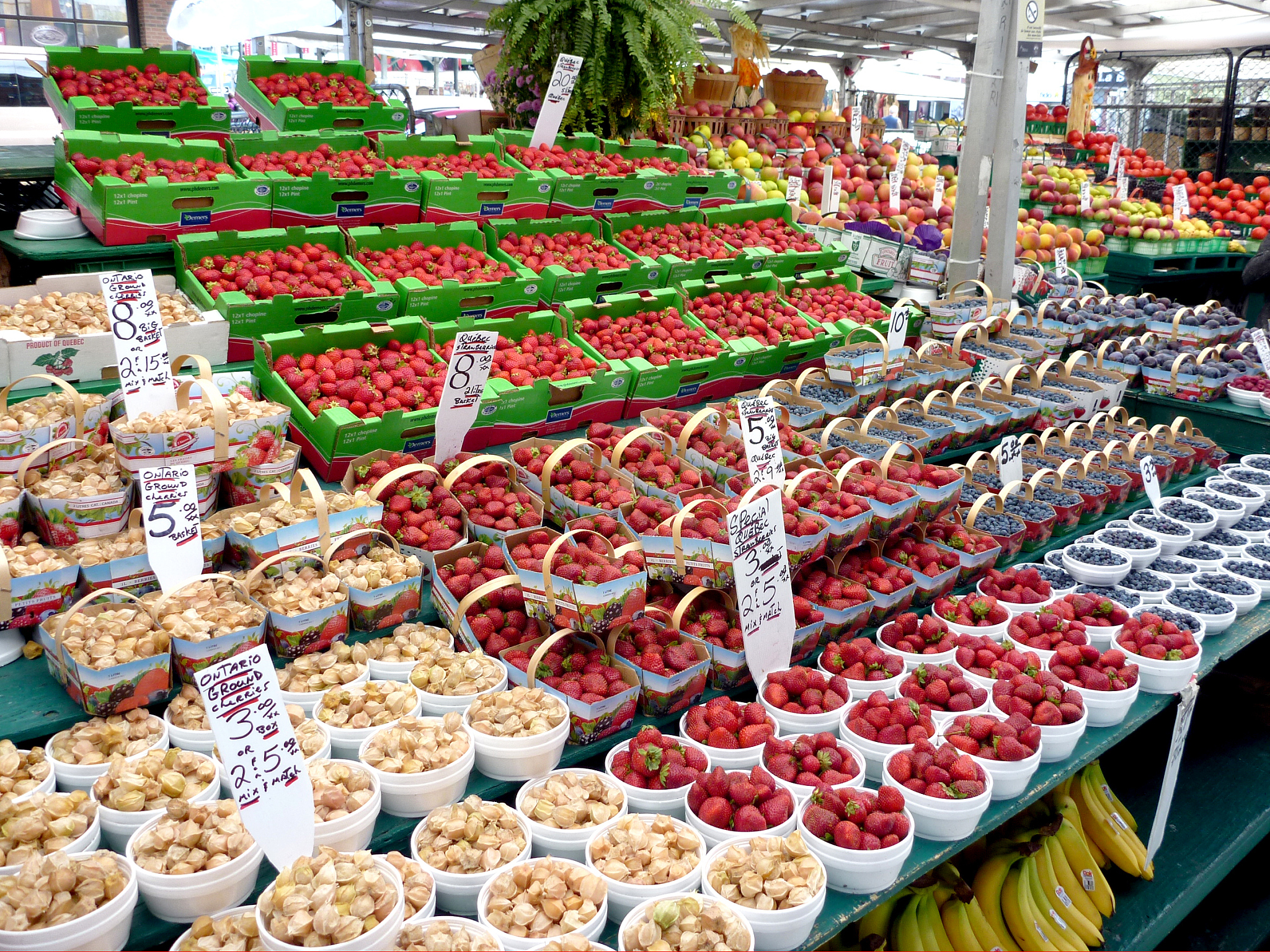 食品批发 取10个 3个字 名字