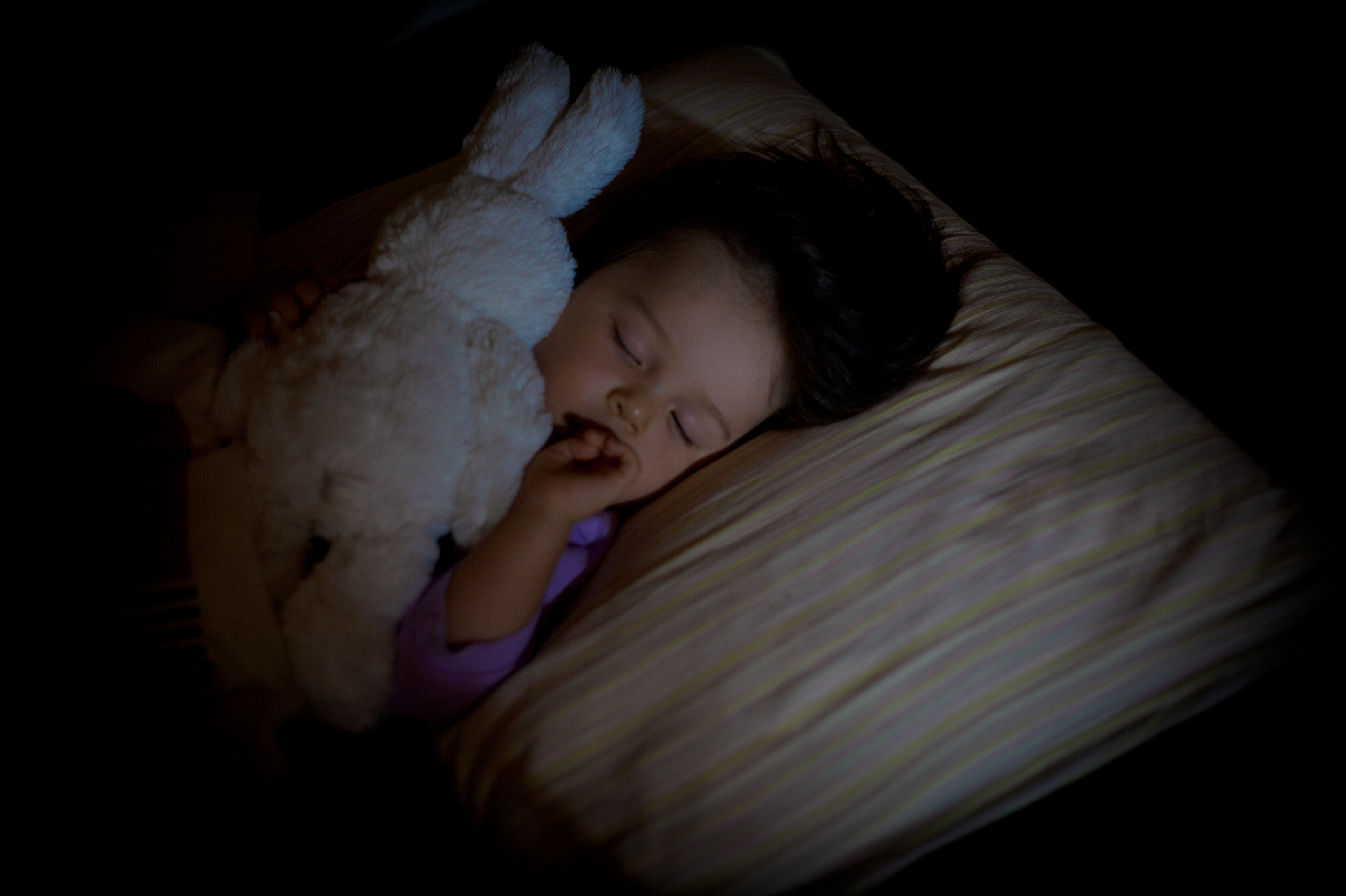 goodnight moon