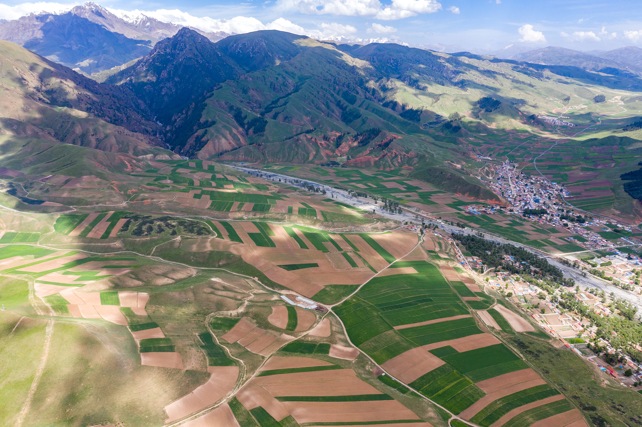 qinghai qilian zall mountain
