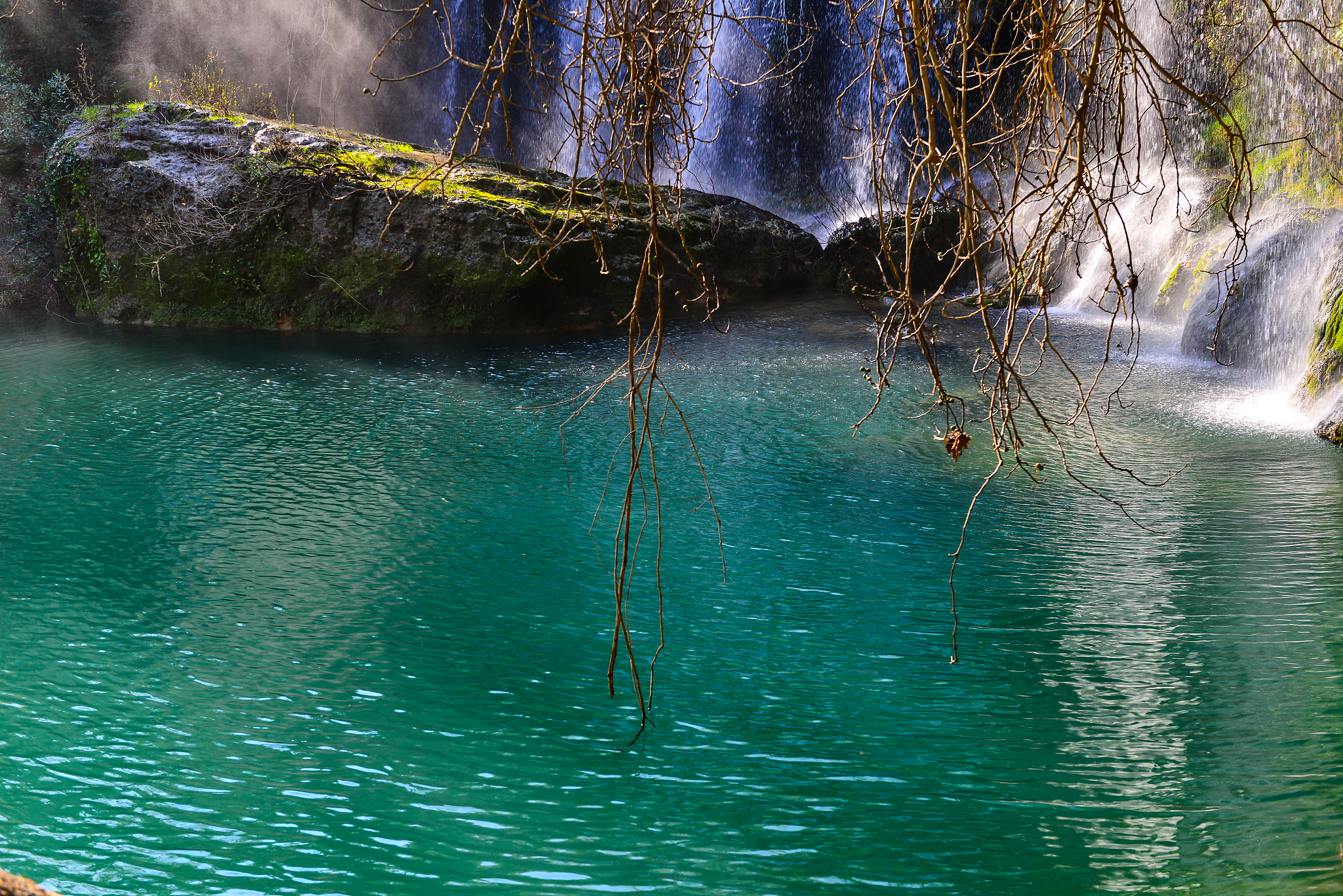 lake in the forest
