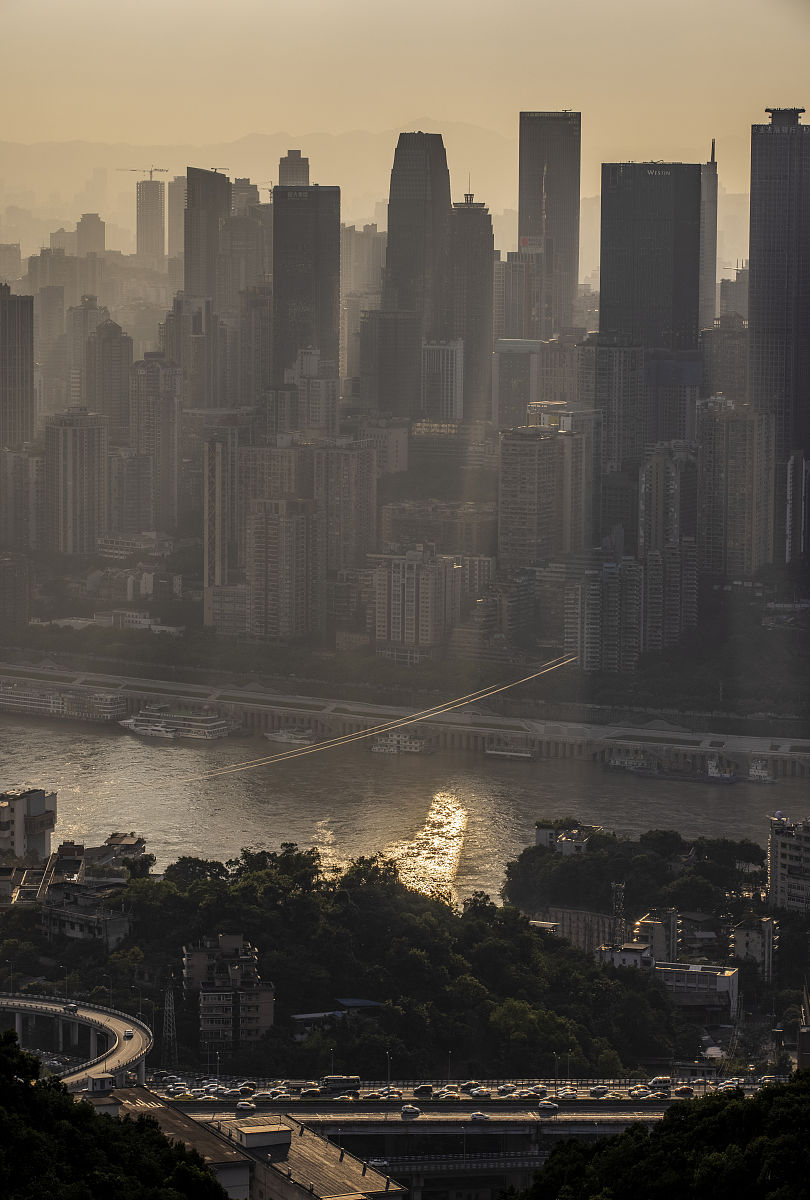 重庆市森林资源现状及保护措施：挑战与机遇