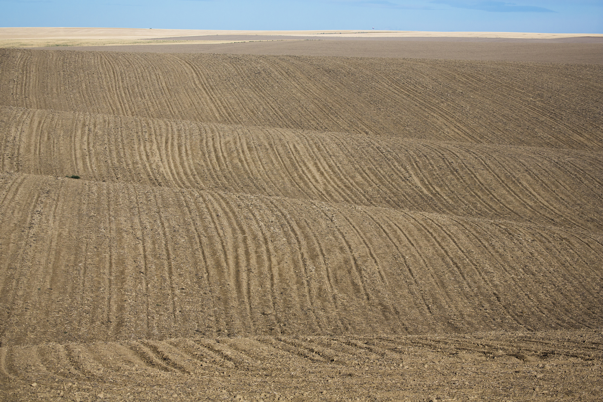 a ploughed farm field