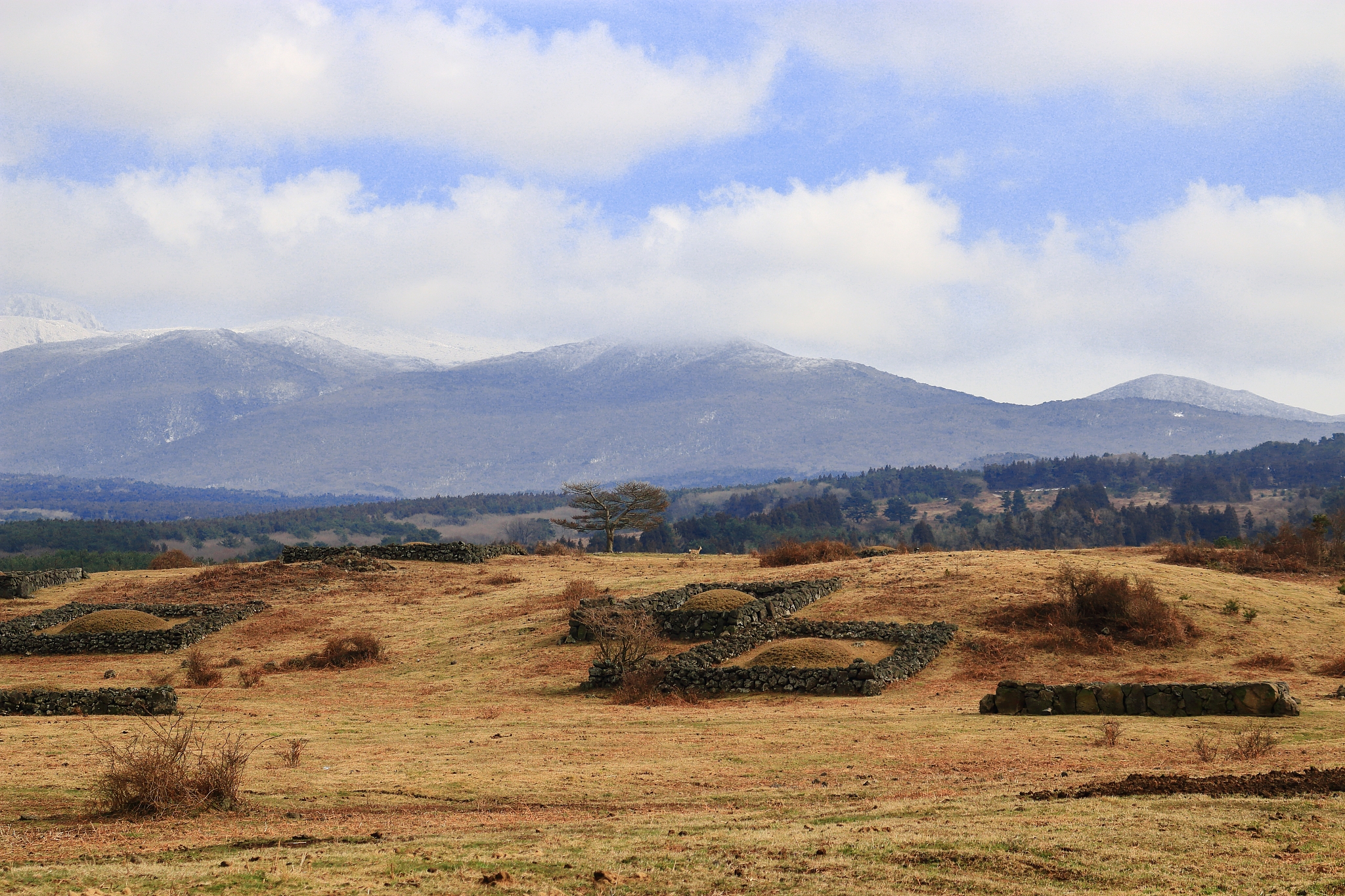 horse pasture, ranch, hallasan,