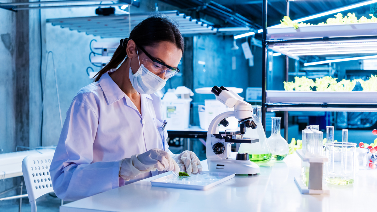 中国国家级实验室大全：涵盖生物、微电子、纳米等领域