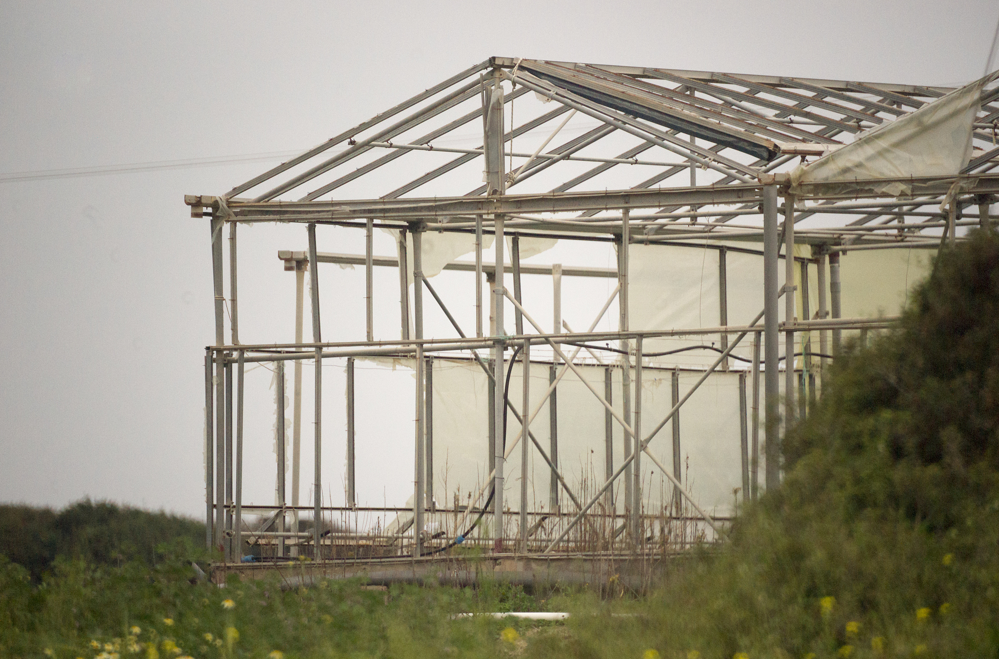 高中信息技术'循环结构'教学改进：问题解决与程序实现